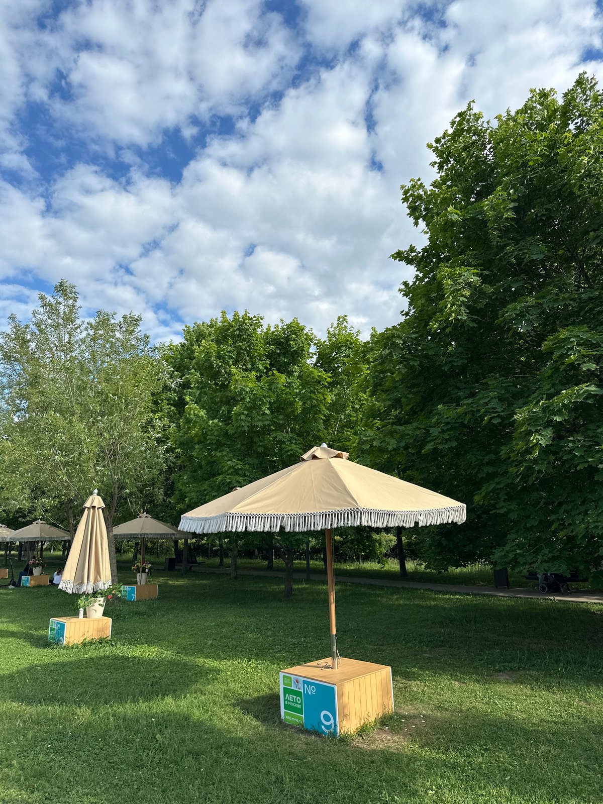 Sunny afternoon brings visitors to Khimki park