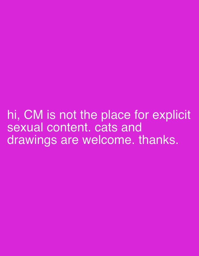Community moderation notice posted in Erba regarding content guidelines