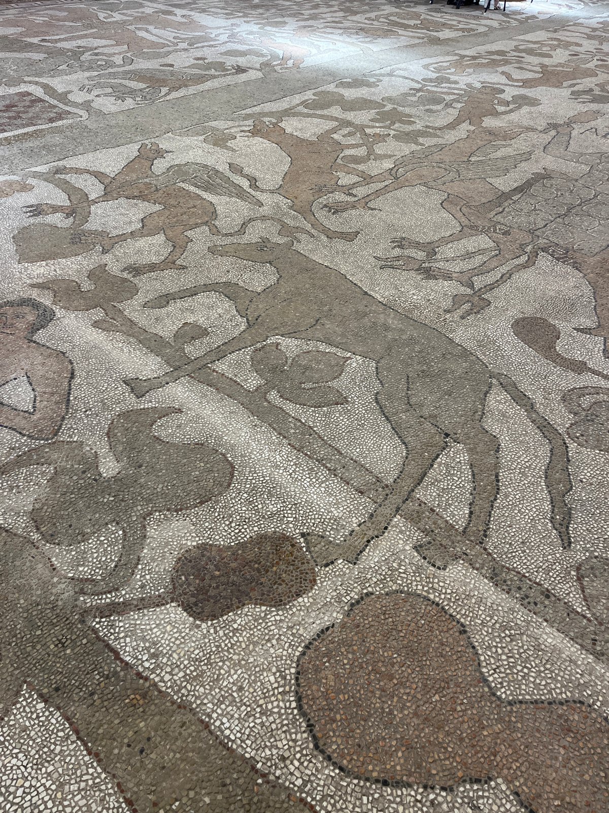 Tourist documents Otranto Cathedral mosaics and historic Italian streetscapes