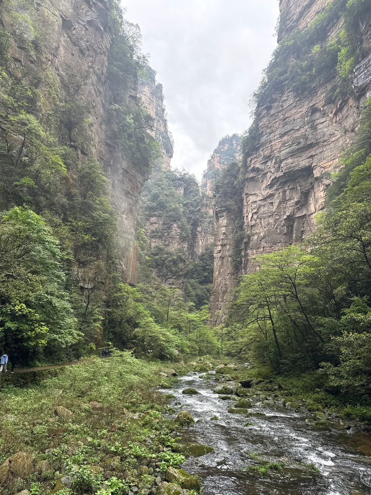 Canyon landscape with layered rock formations and vegetation documented