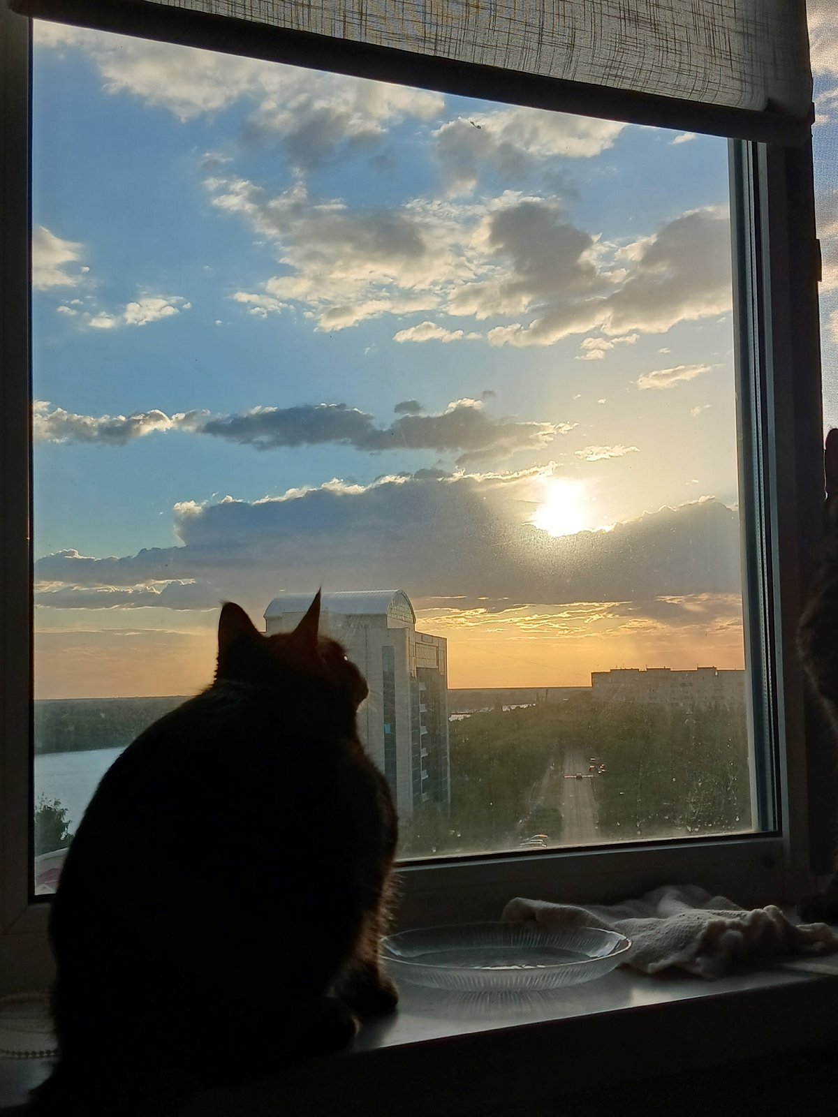 Cat on a windowsill watches the sunset over Pavlodar
