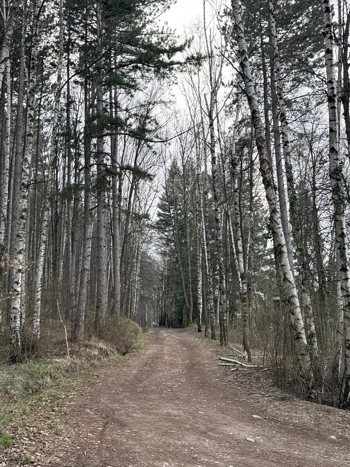 Mixed urban and nature scenes documented around Sofia