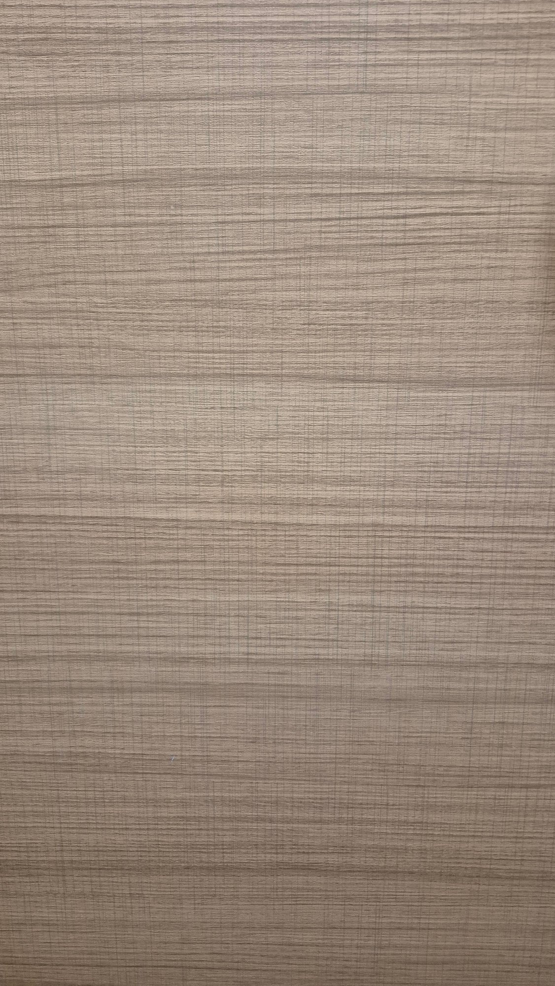 Textured interior surface documented in Varna, Bulgaria