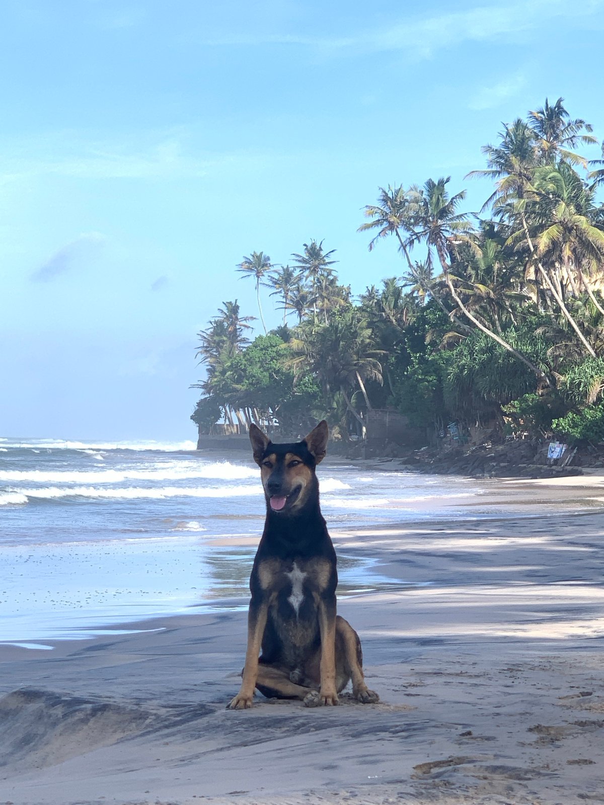 Early morning beach walk captured in Kathaluwa, Sri Lanka