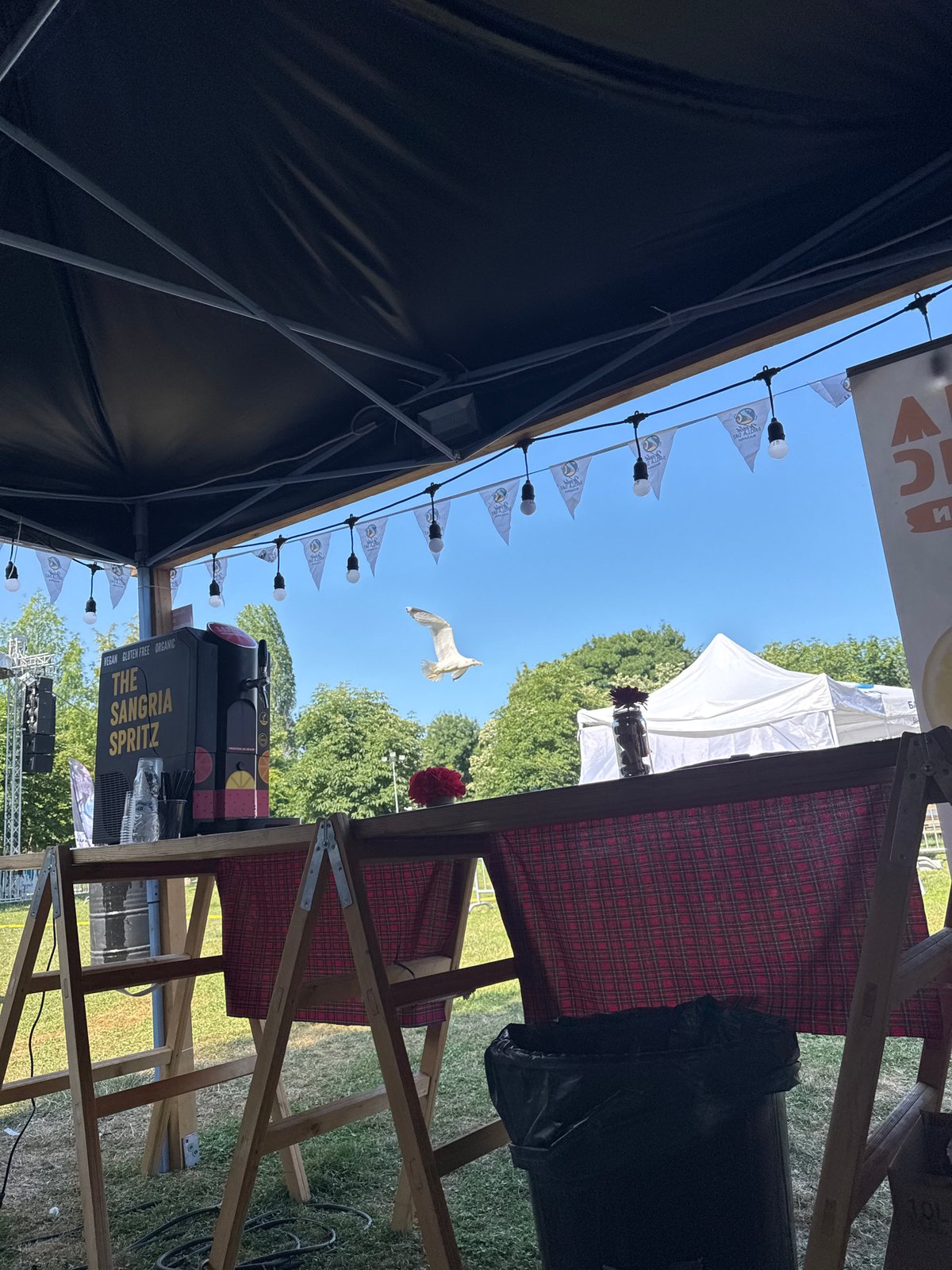Casual outdoor food and drinks event in a Burgas park