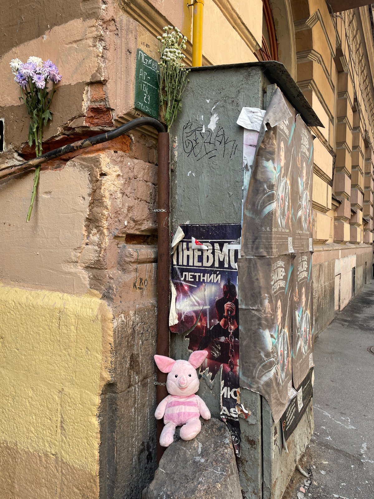 Pink pig toy and peeling facades on a Saint Petersburg street