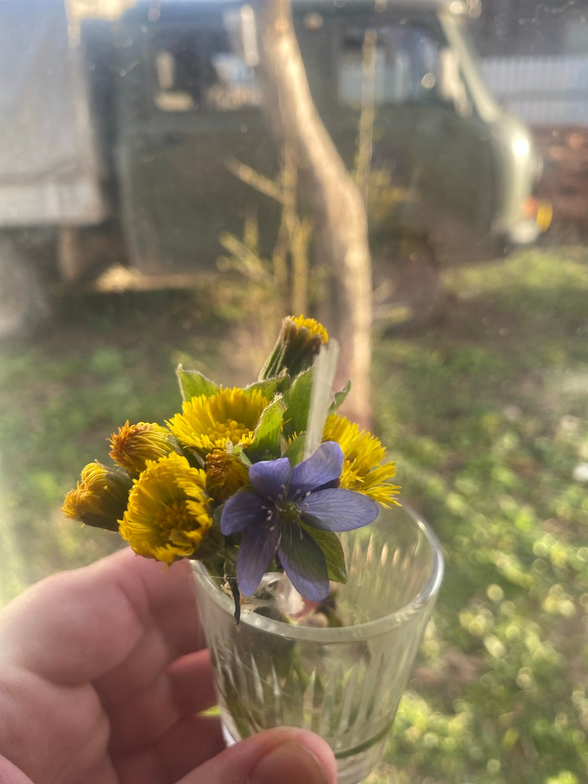 Casual afternoon documented in rural Russia through personal photographs