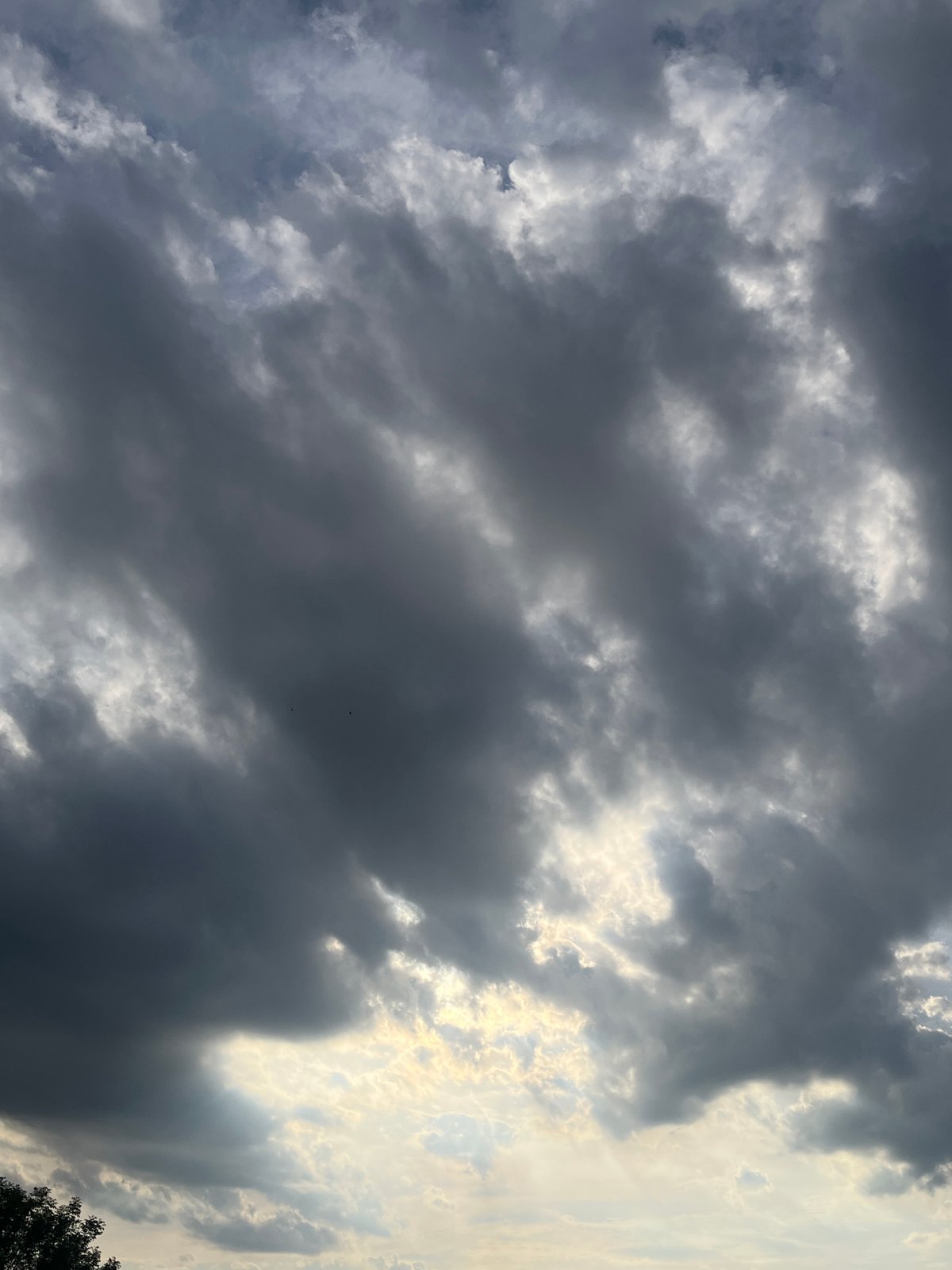 Urban sky-watching session documents changing clouds over city landscape