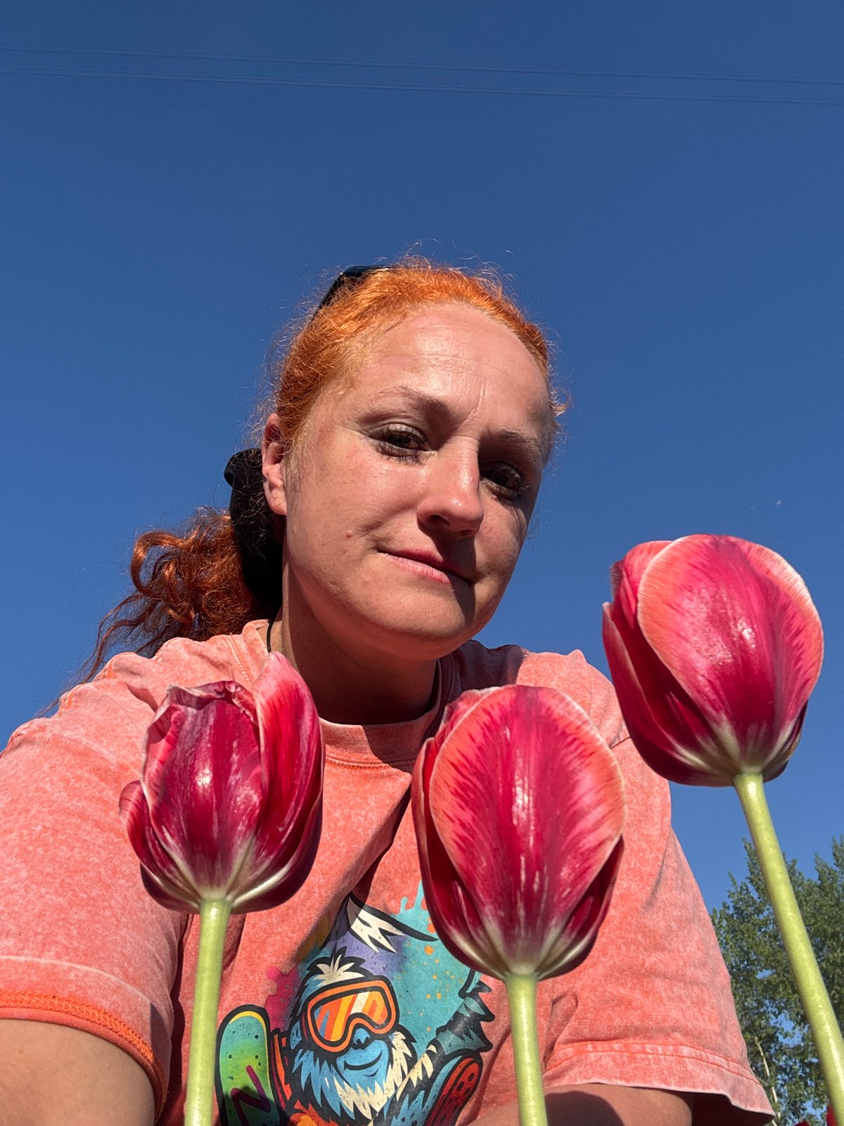 Spring tulips bloom in Chaikovsky residential area during early morning