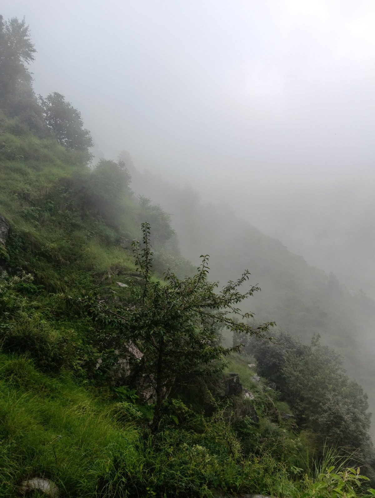 Foggy hillside exploration in Bhagsu on a misty afternoon
