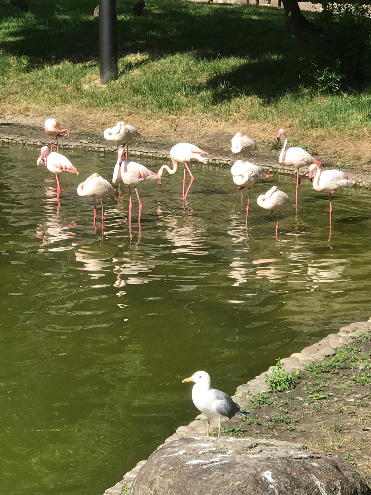 Zoo visit at Feldman Ecopark in Kharkiv
