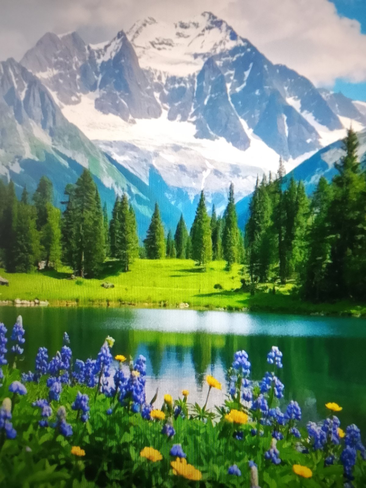 Nature scenes and wildlife, from wildflowers to mountain sunsets