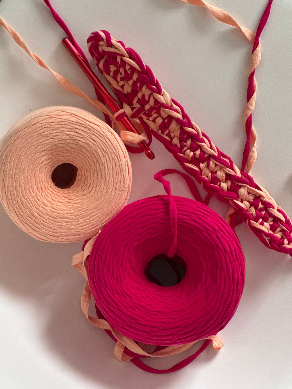 Woman documents quiet morning routine with crafts and pet birds