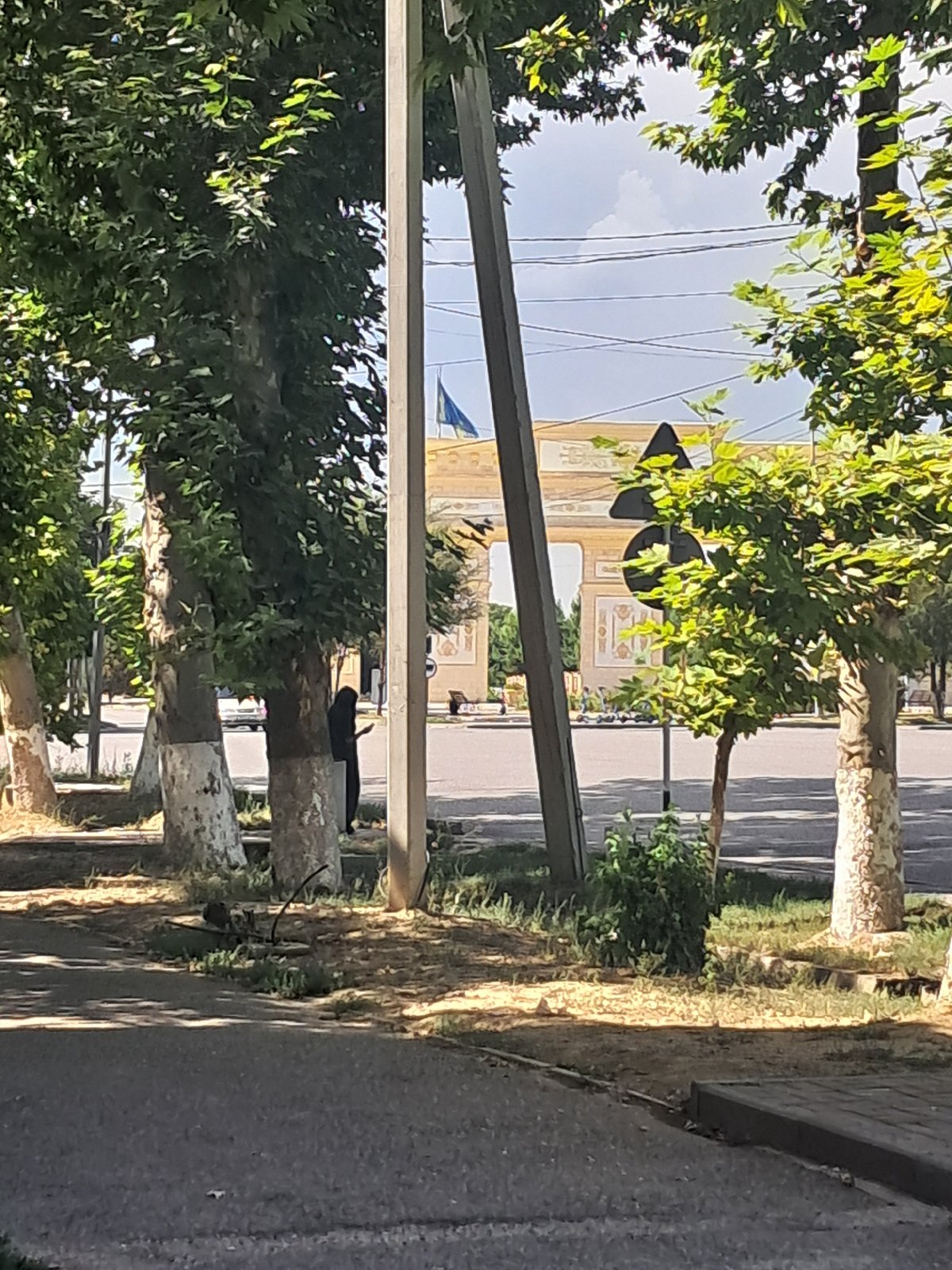 Cats and architecture on a Shymkent summer morning