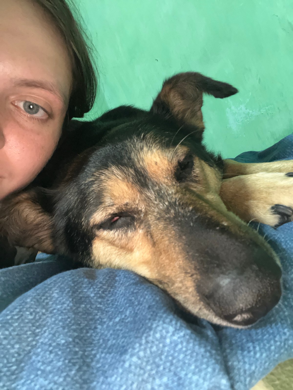 Nizhny Tagil resident documents pets, cooking, daily home life