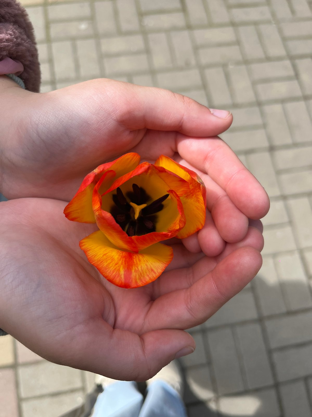 Spring morning moments captured in Novopokrovskaya: selfies, blooming flowers, baby stroll