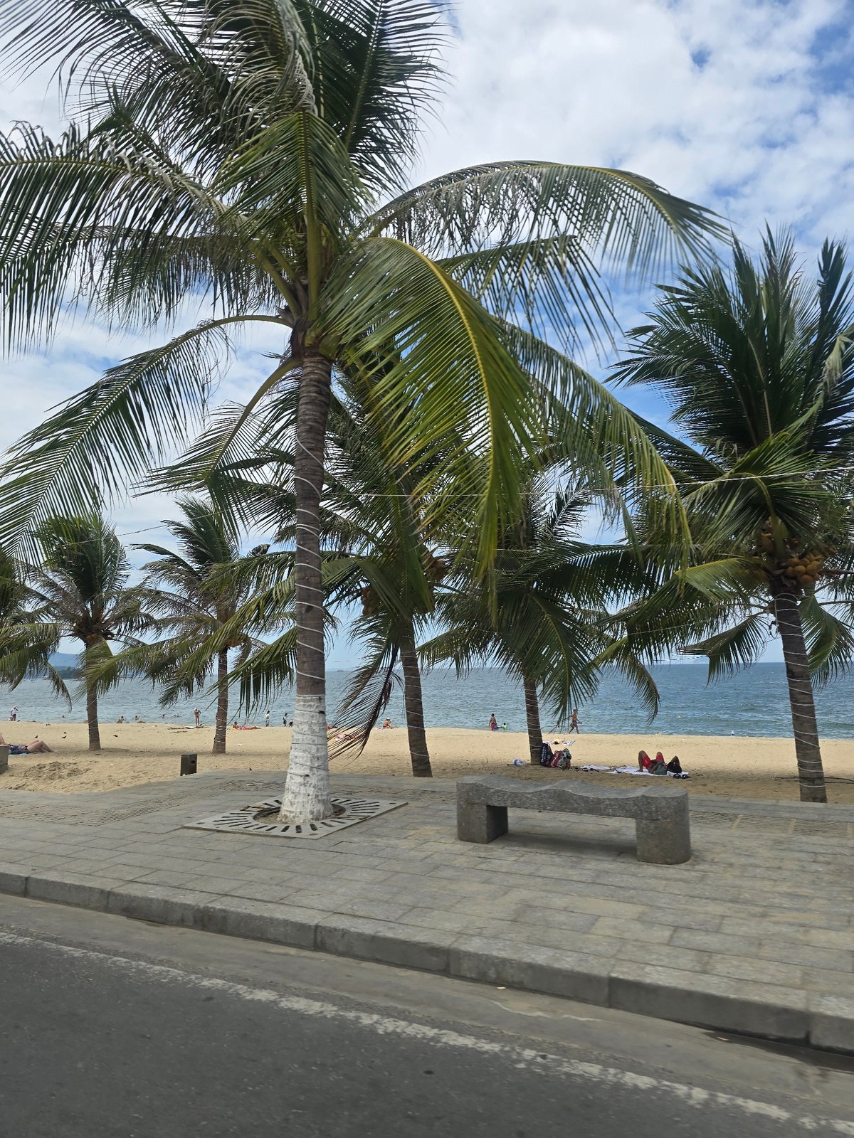 Nha Trang's palm-lined beachfront promenade on a busy day