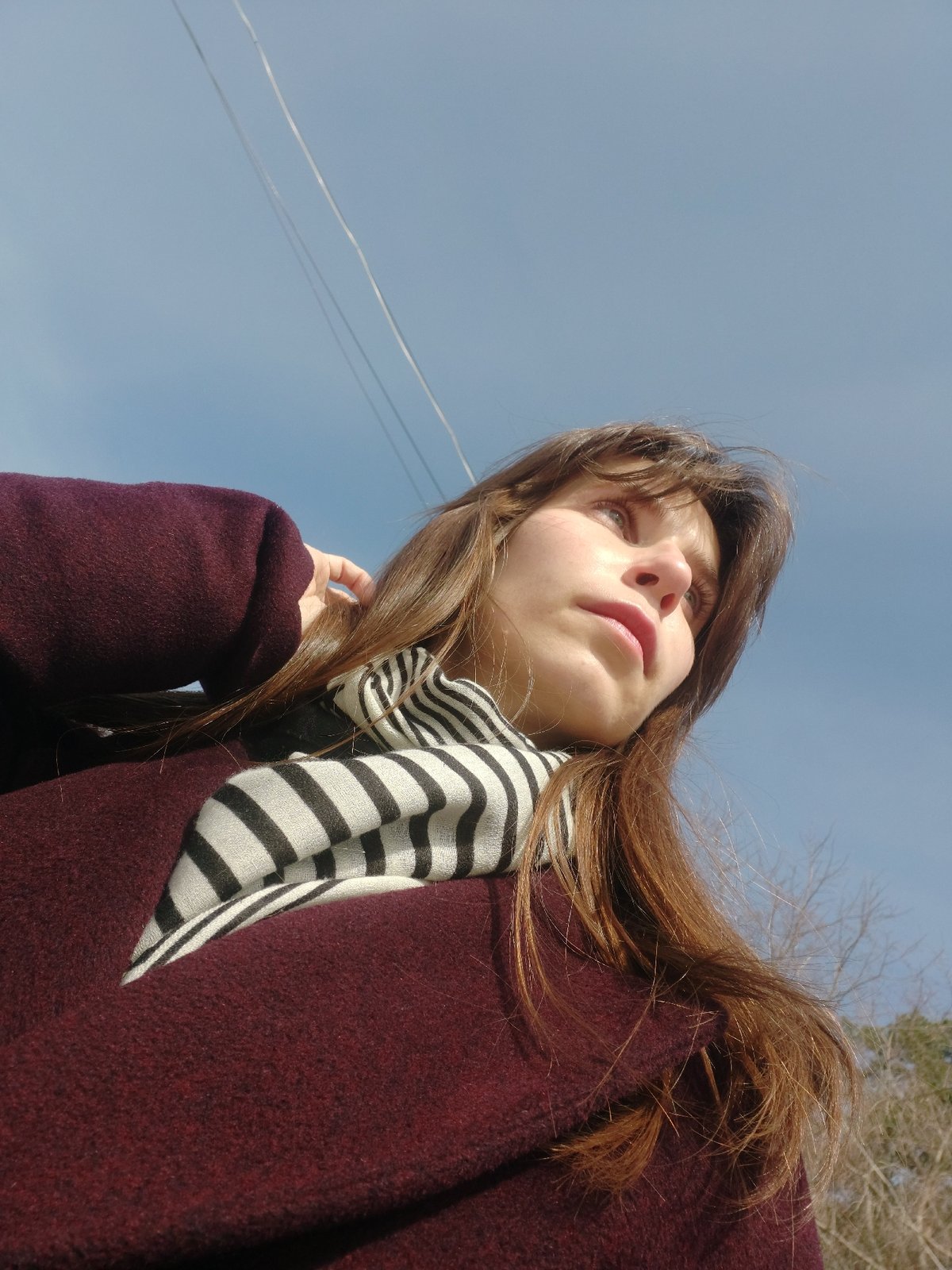 Morning indoor activities observed in Chaikovsky: climbing practice, pet relaxation