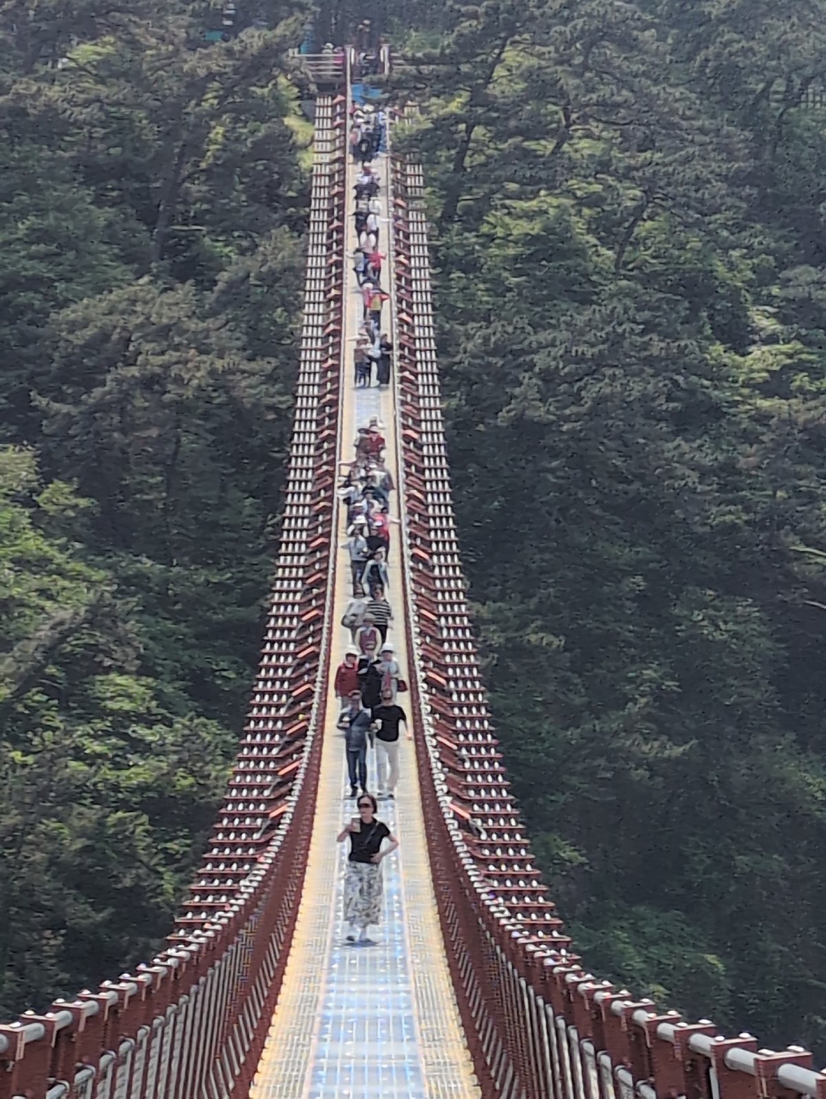 Morning tour captures Ulsan's bridges, beaches, and urban landscapes