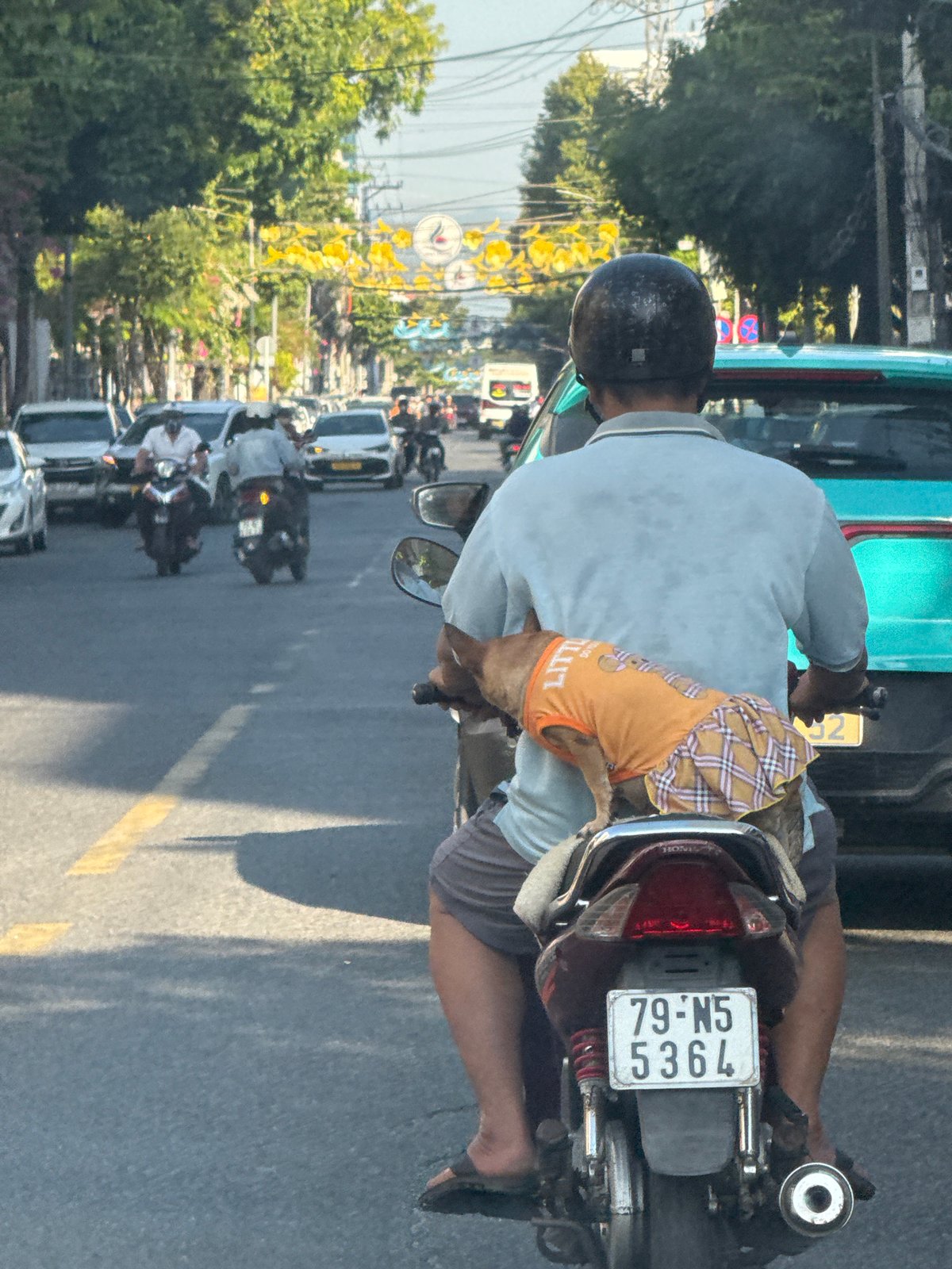 Street rides, poolside calm, and garden details in Nha Trang