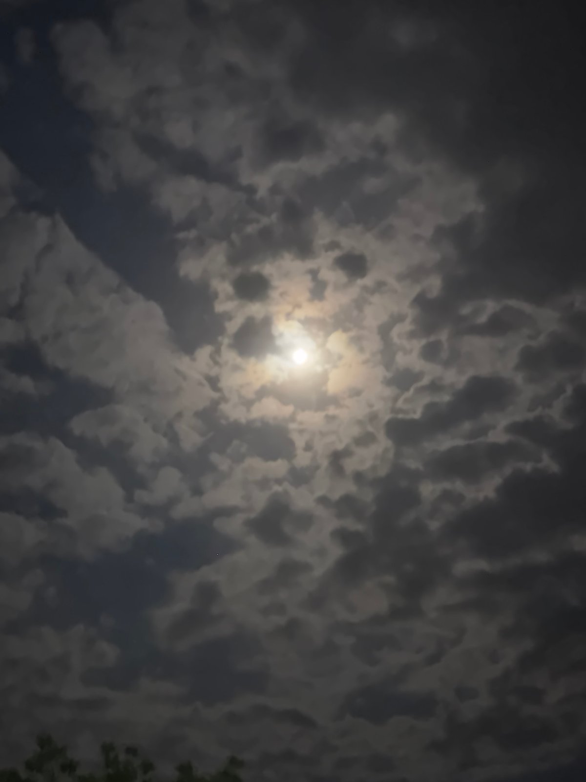 Rural sky watching and farm equipment documented in Sarnevo
