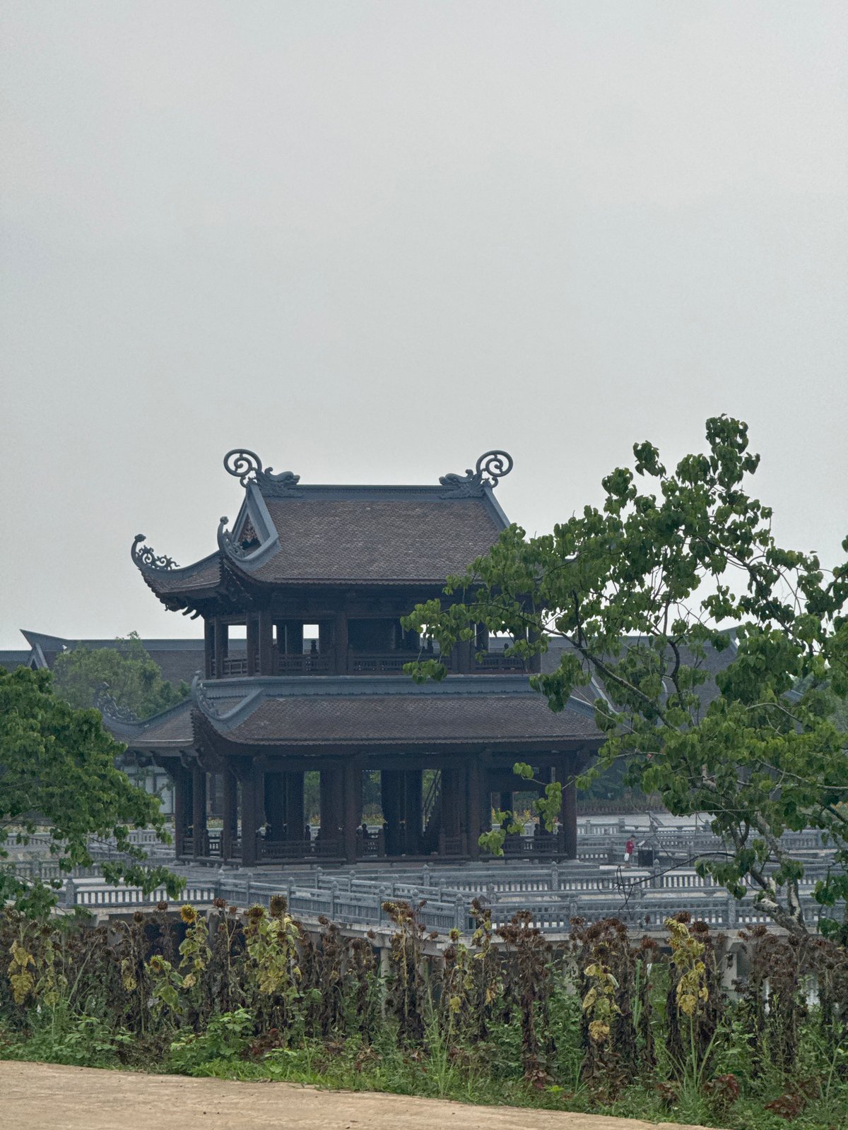 Tourists explore traditional Vietnamese temples in Tây Hoa Lư Ward