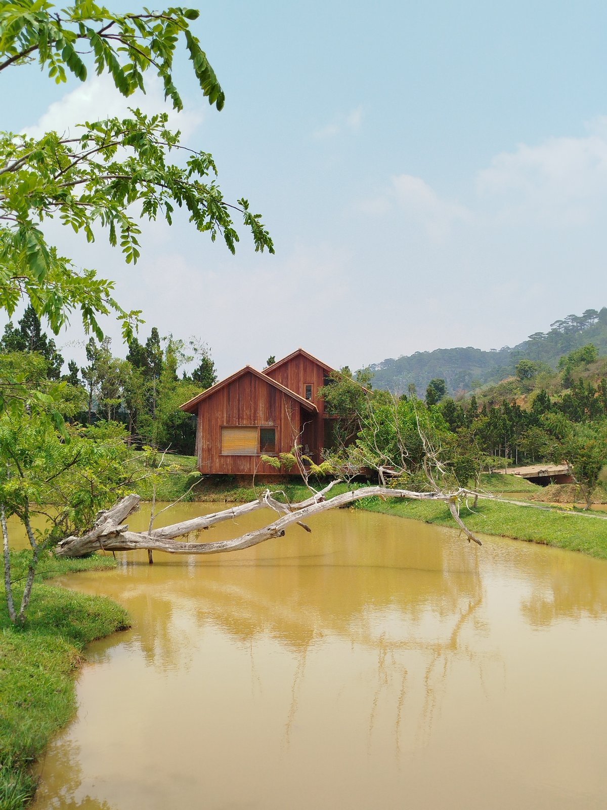 Dawn pastoral scenes documented across rural Vietnamese villages