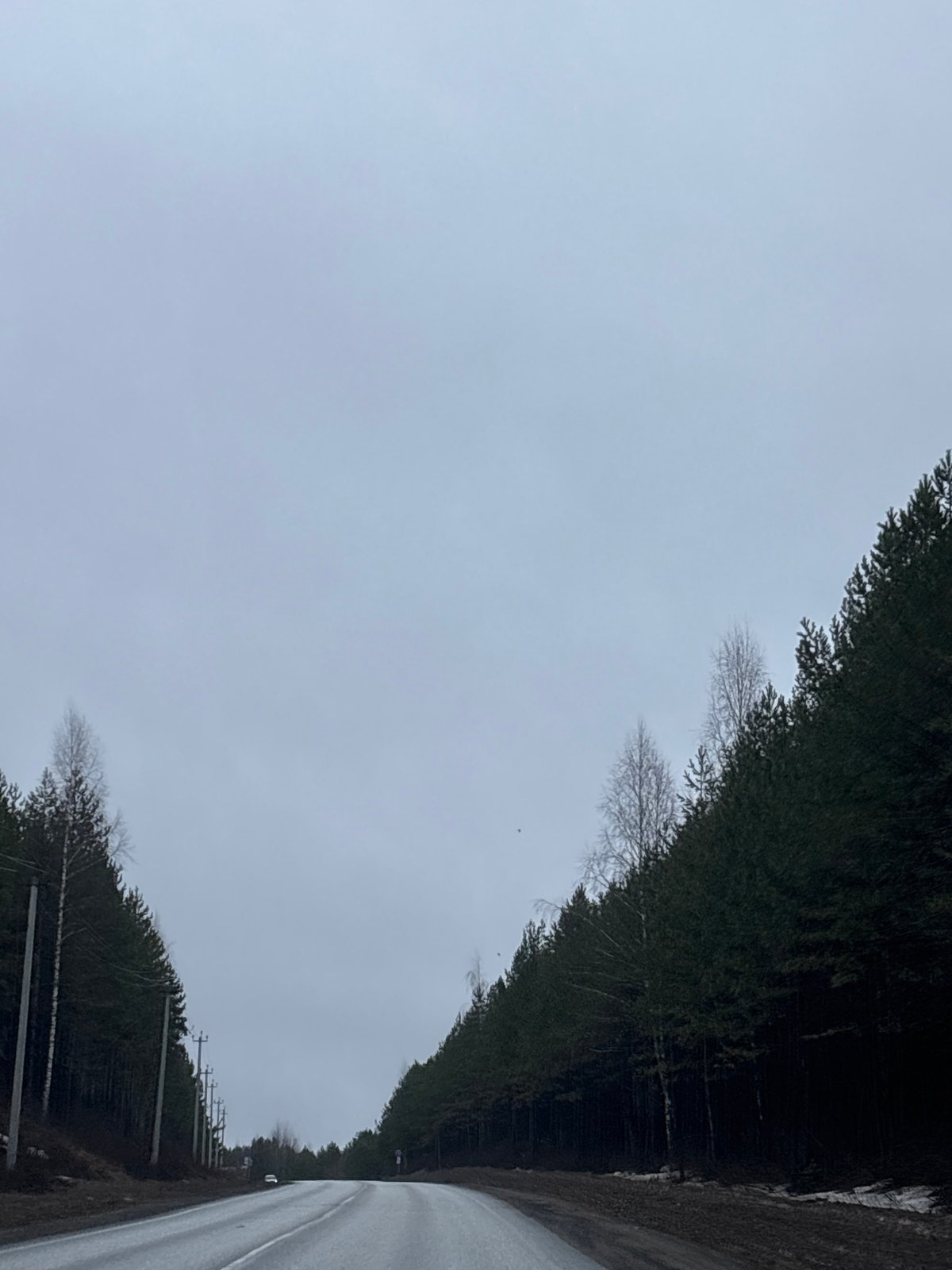 Overcast morning captured on tree-lined road in Chaikovsky, Russia