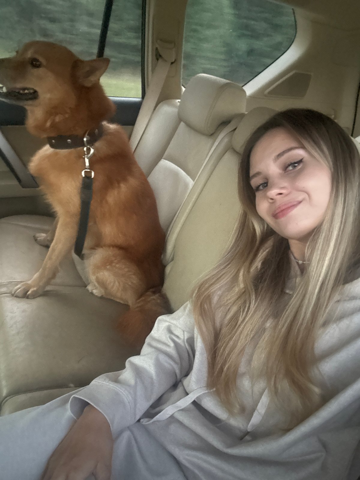 Road trip vibes with a reddish-brown dog in the back seat