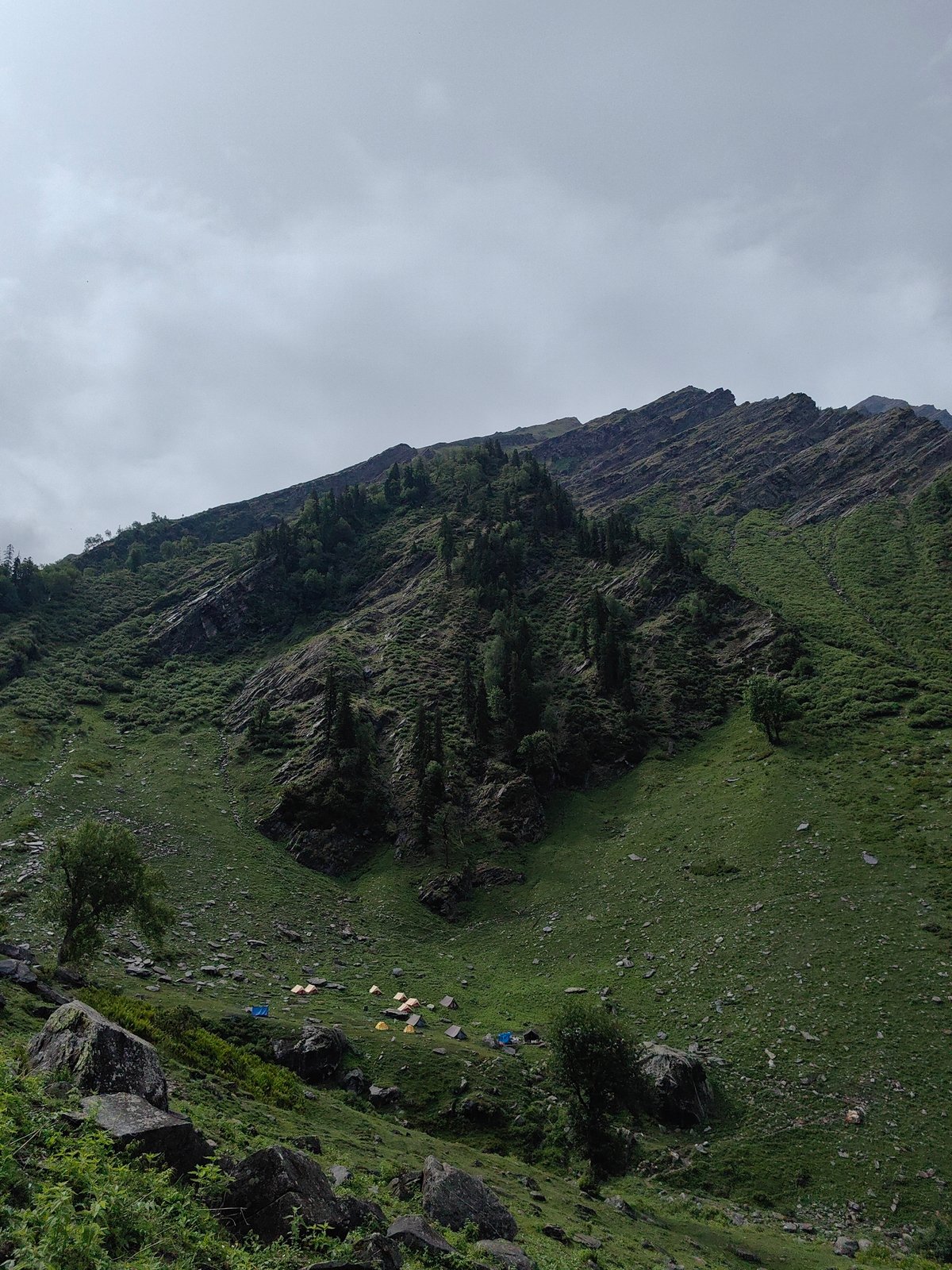 Trekking through Burwa's Himalayan slopes with buffalo and mountain views