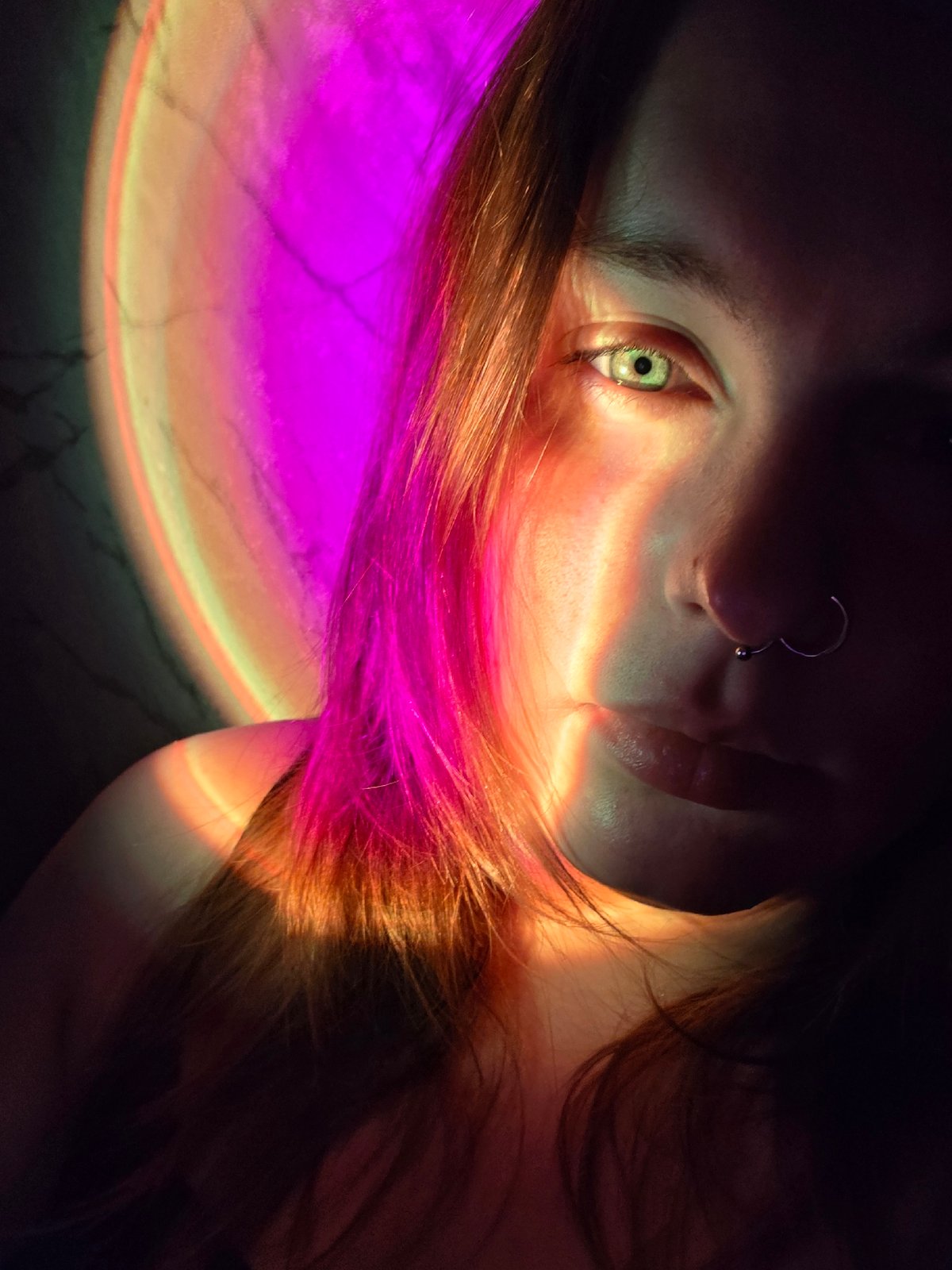 Evening portraits and resting cat captured in intimate moments