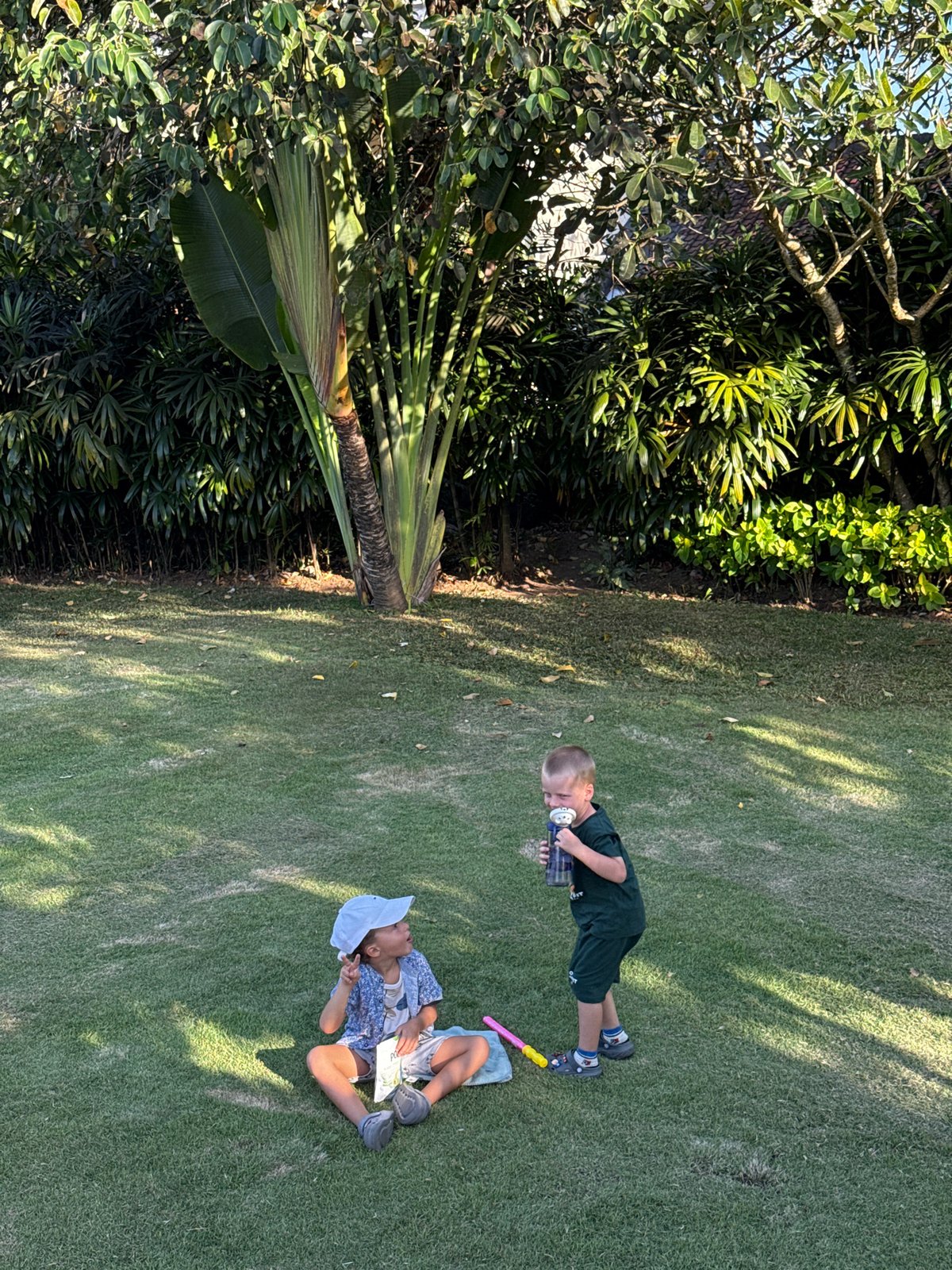 Morning life scenes captured across Kuta Selatan gardens and homes