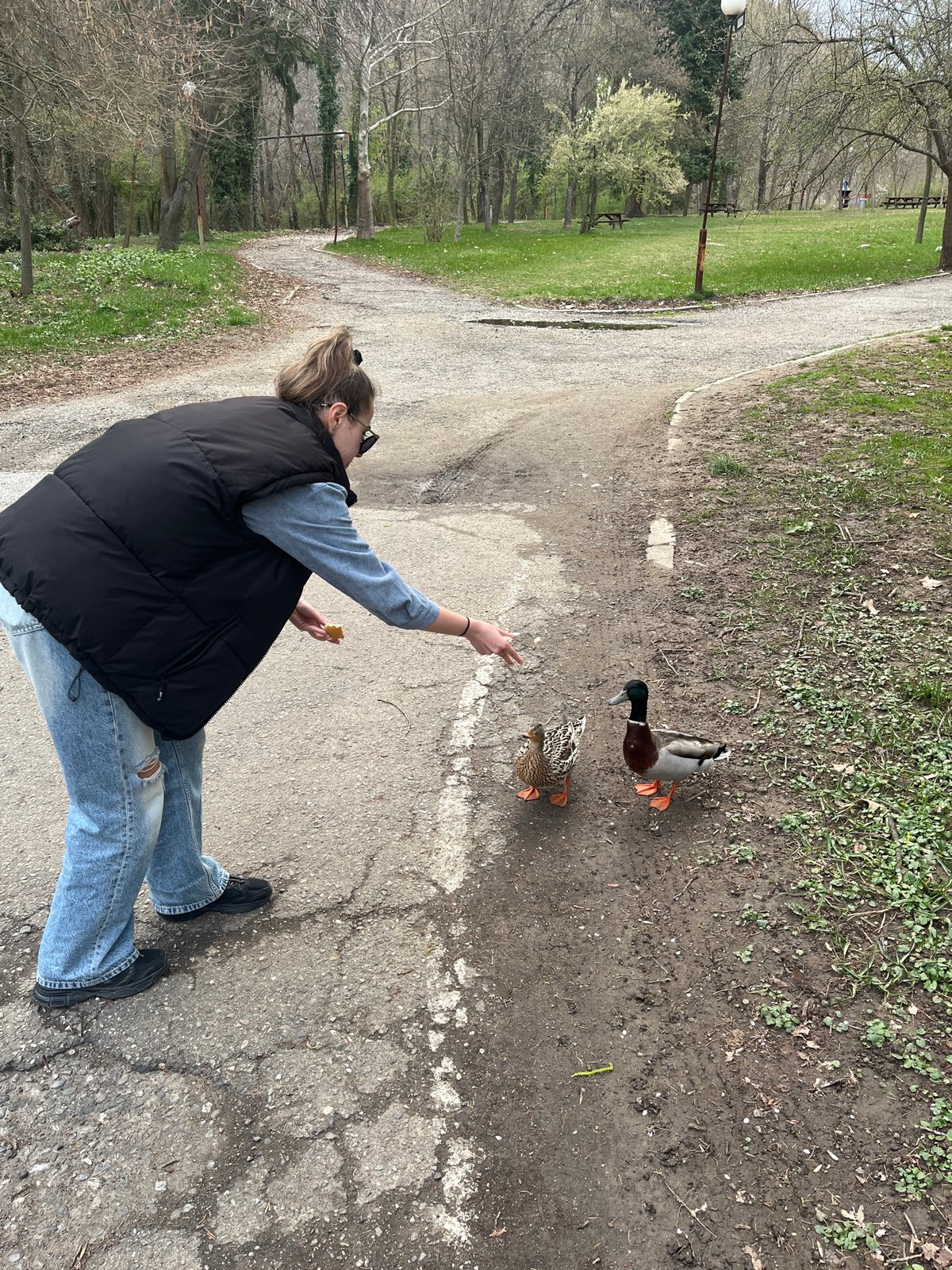 Woman feeds ducks in Bulgarian park