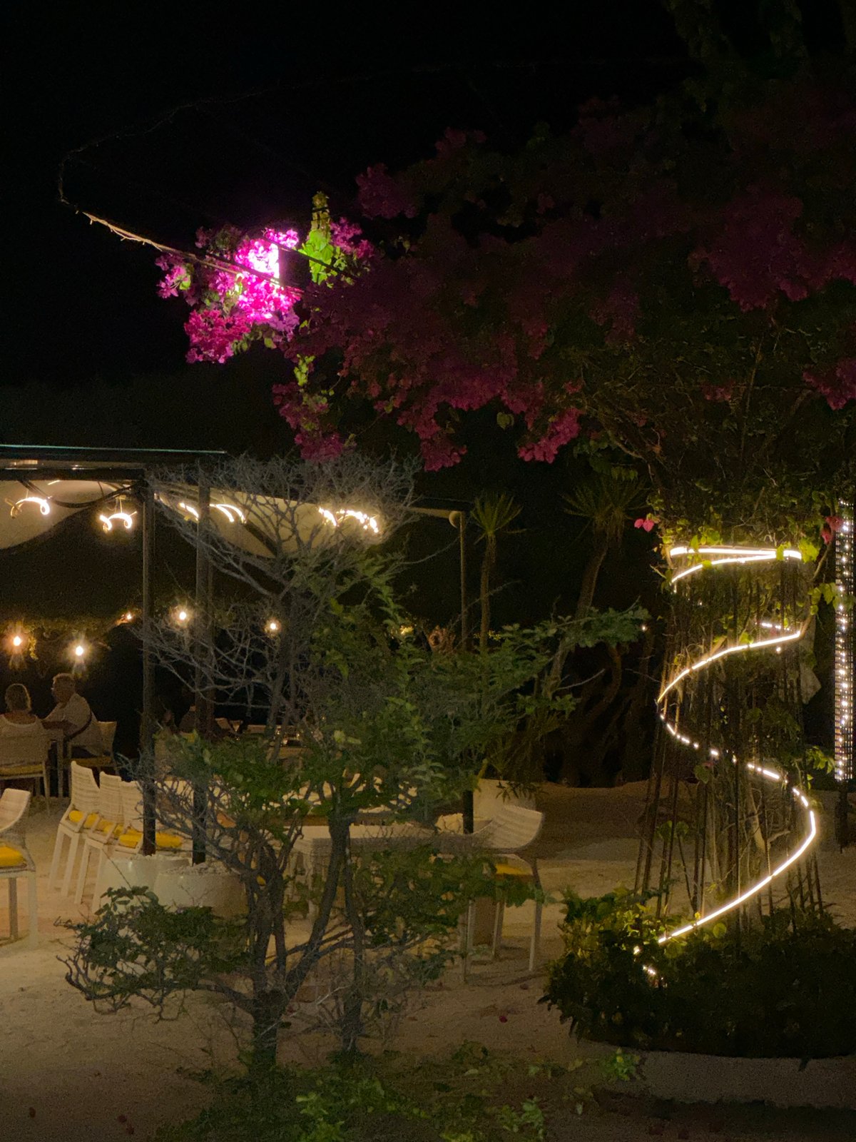 Indonesian garden illuminated by string lights with pink bougainvillea