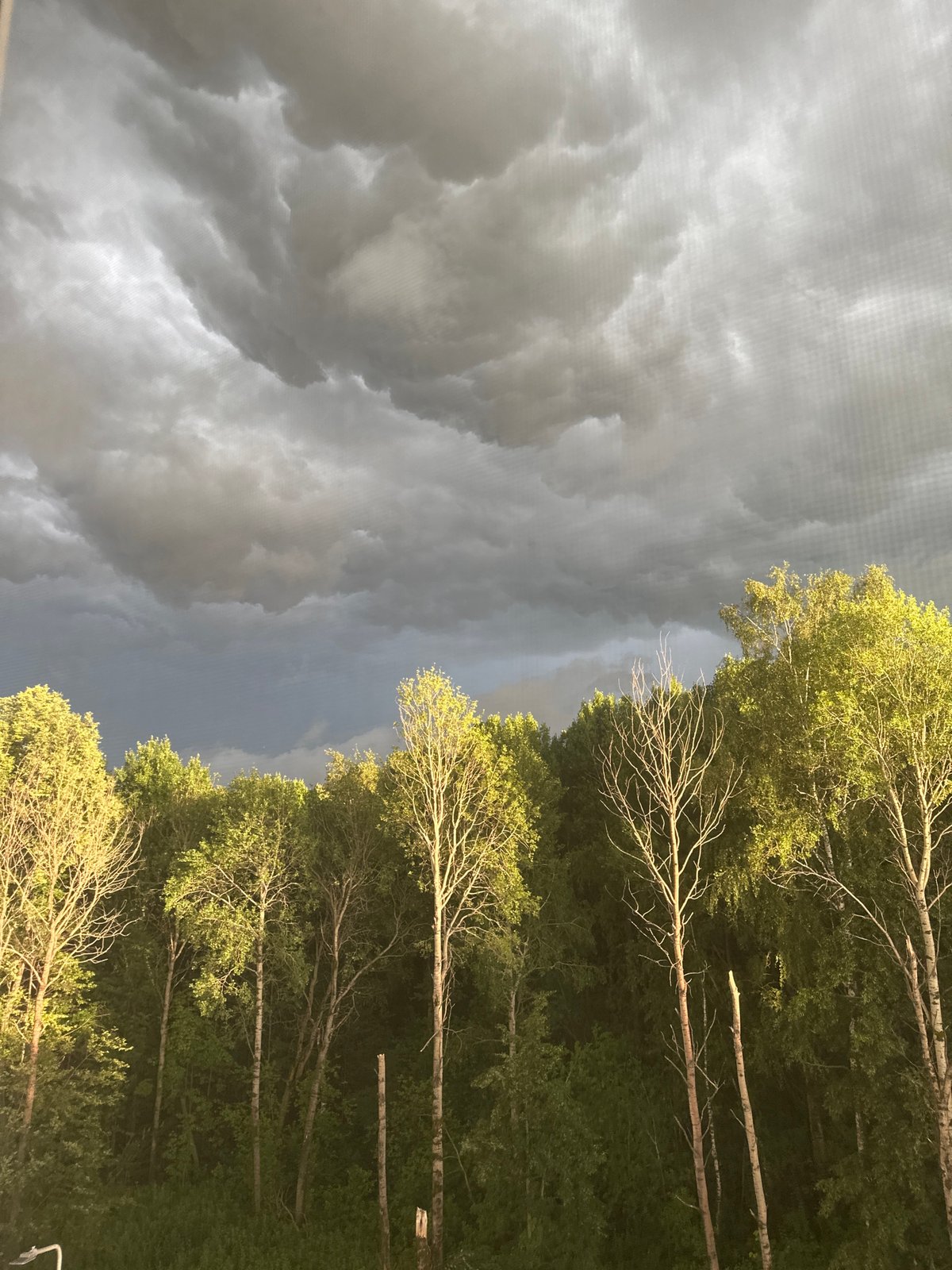 Indoor birthday party in Tobolsk as a storm moves in