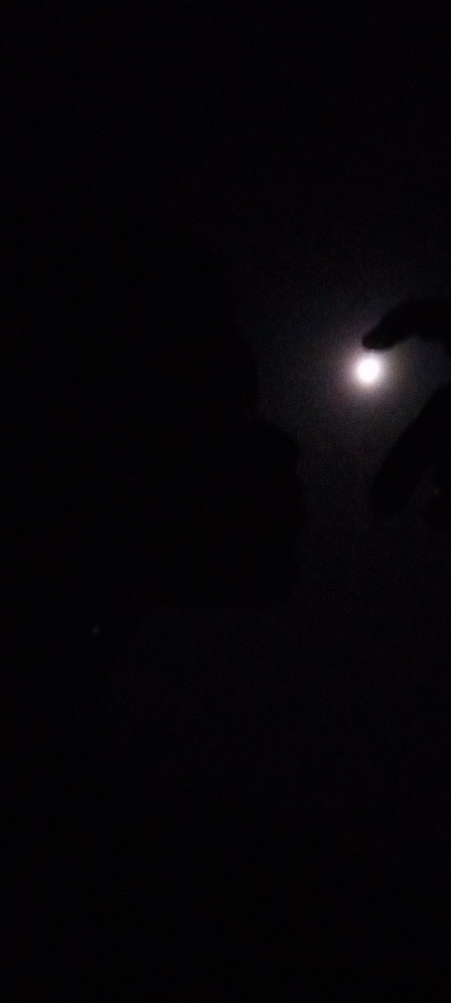 Hand gestures captured against bright lights in Nigerian night scene