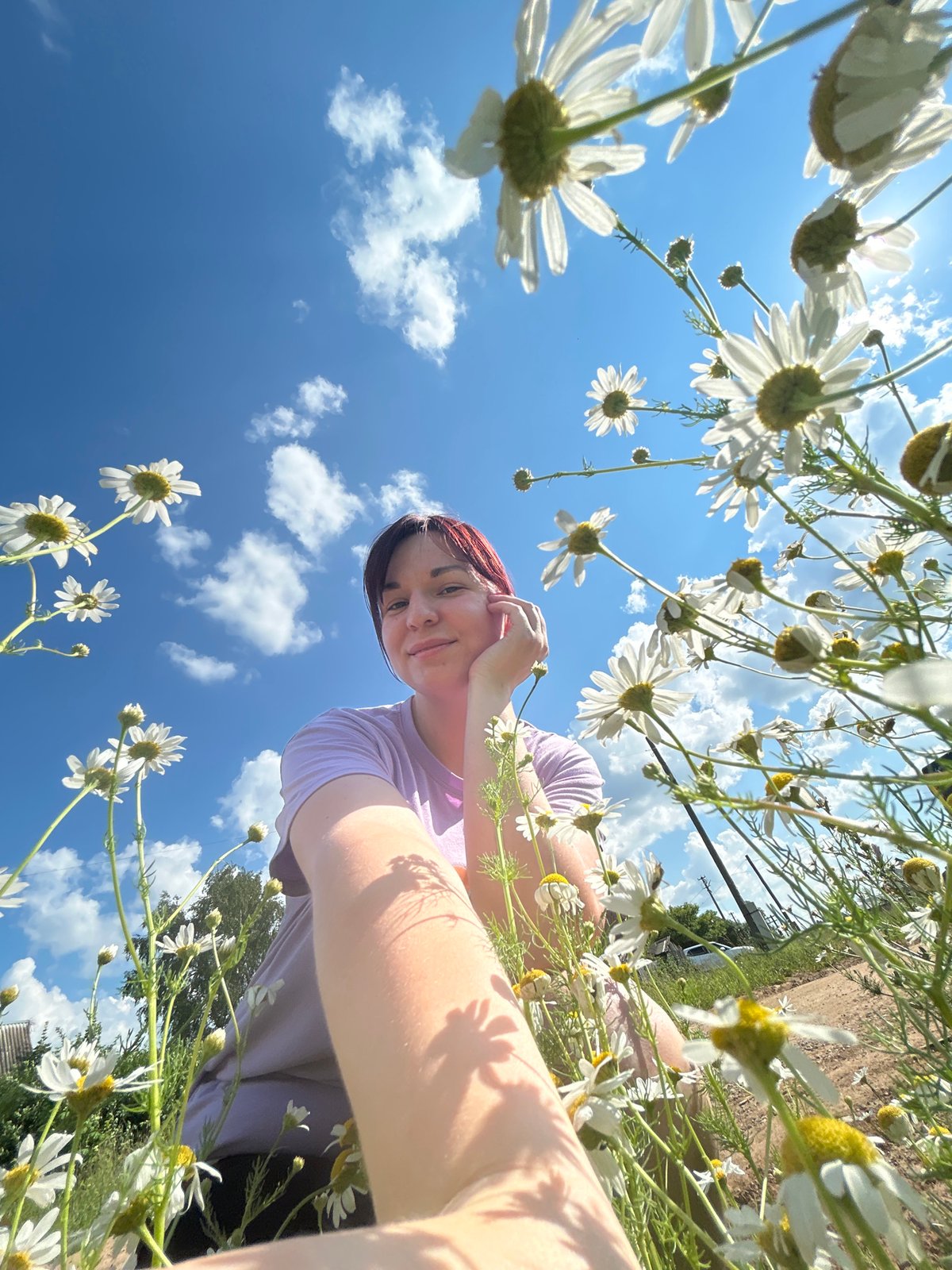 Daisy field stop and car selfies on a sunny Fokino morning