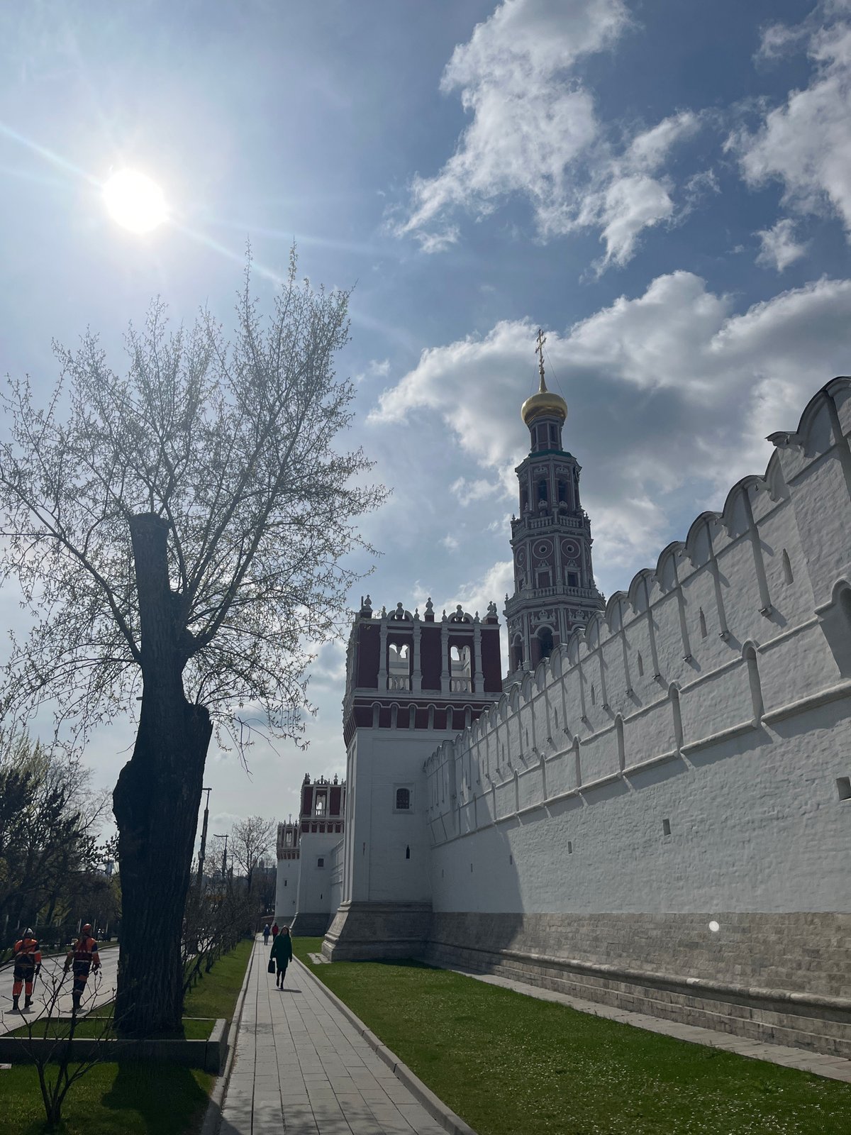 Morning tranquility at Moscow's Novodevichy Convent pond with dogs, ducks