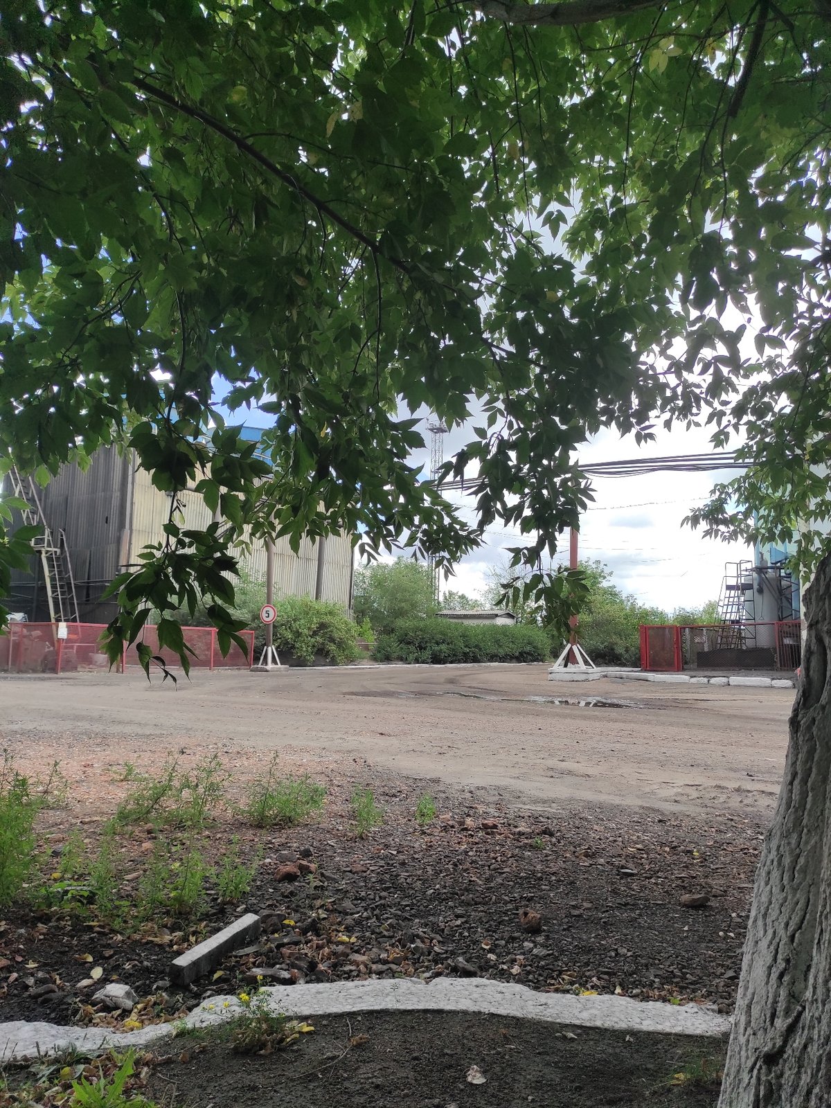 Tree and industrial buildings coexist at a Kyzyl outdoor site