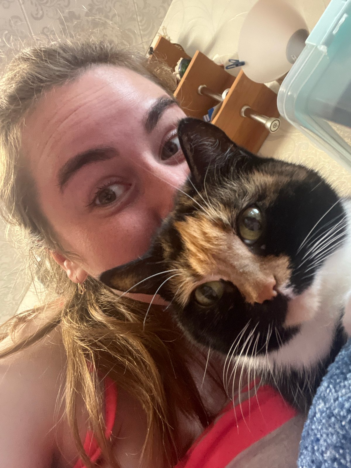 Morning selfies with calico cat in Chaikovsky, Russia