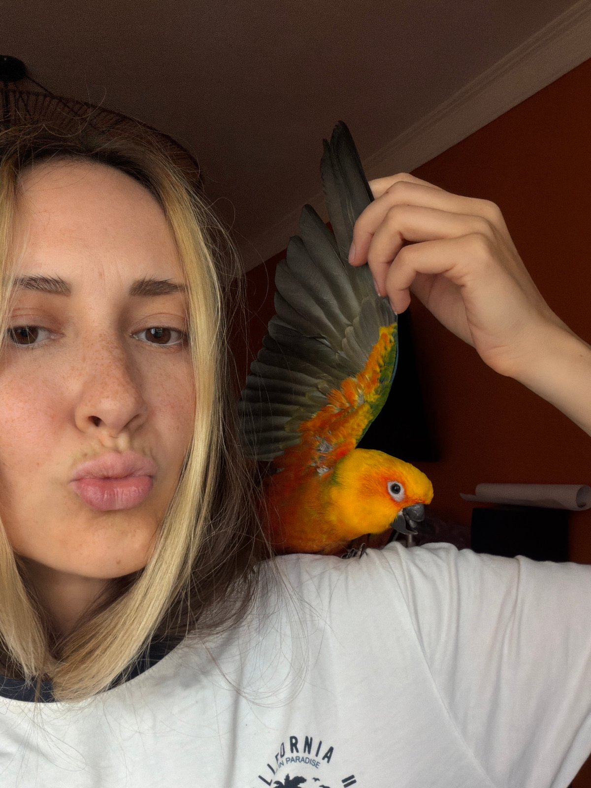 Afternoon hang with a Sun Conure near the Khimki waterfront