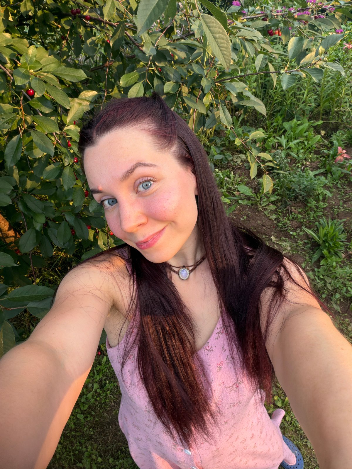 Summer garden afternoon in Фоки: flowers, strawberries, greenhouse light