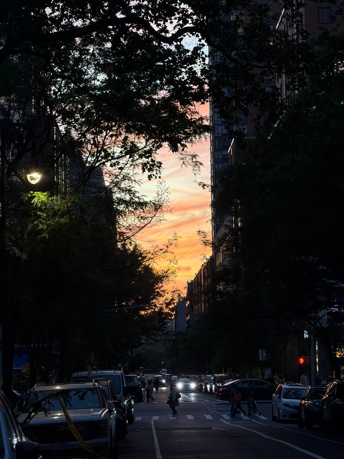 Evening sky view captured between NYC buildings