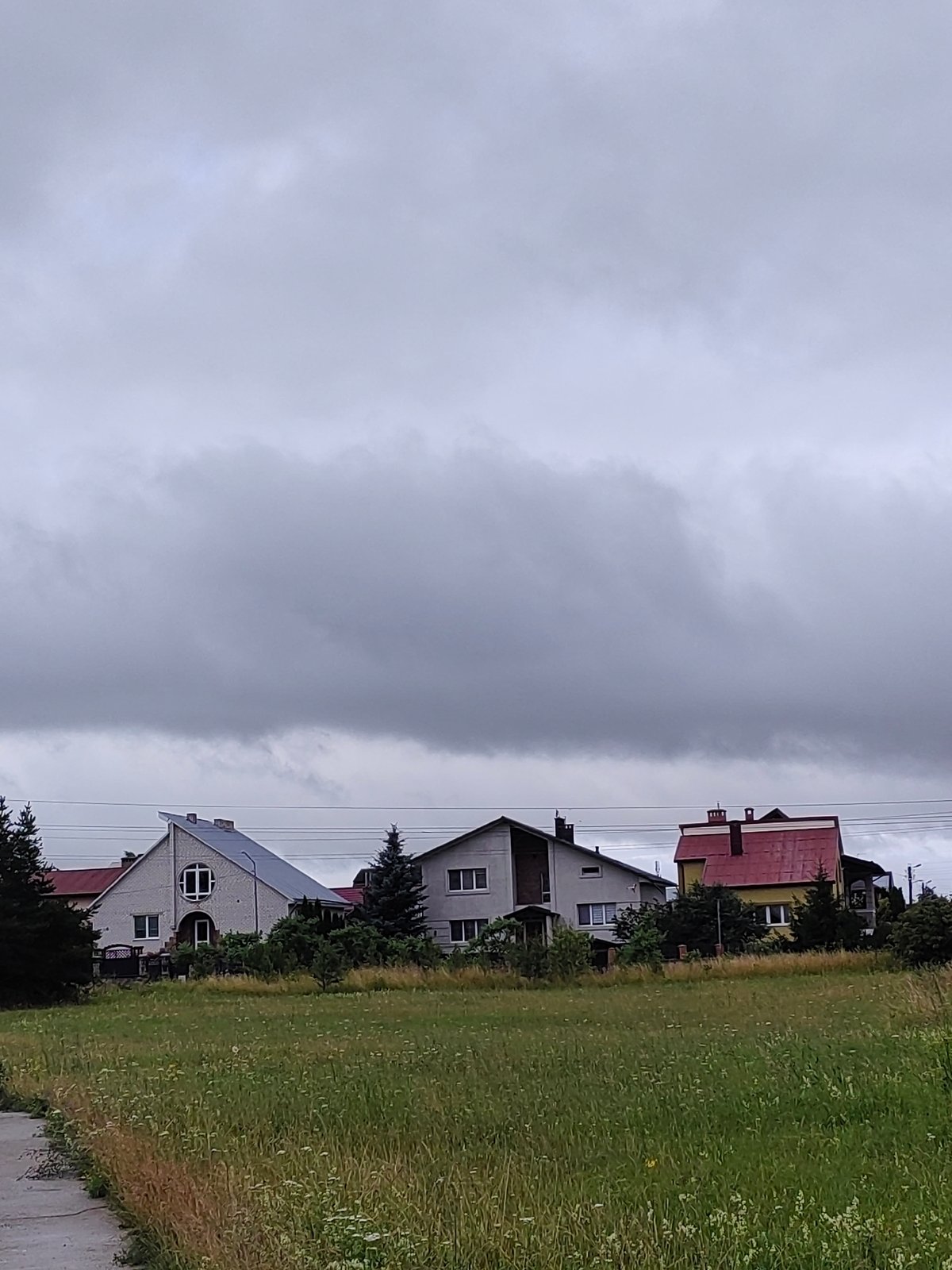Wildflowers and wet fields on a grey morning in Hrodna