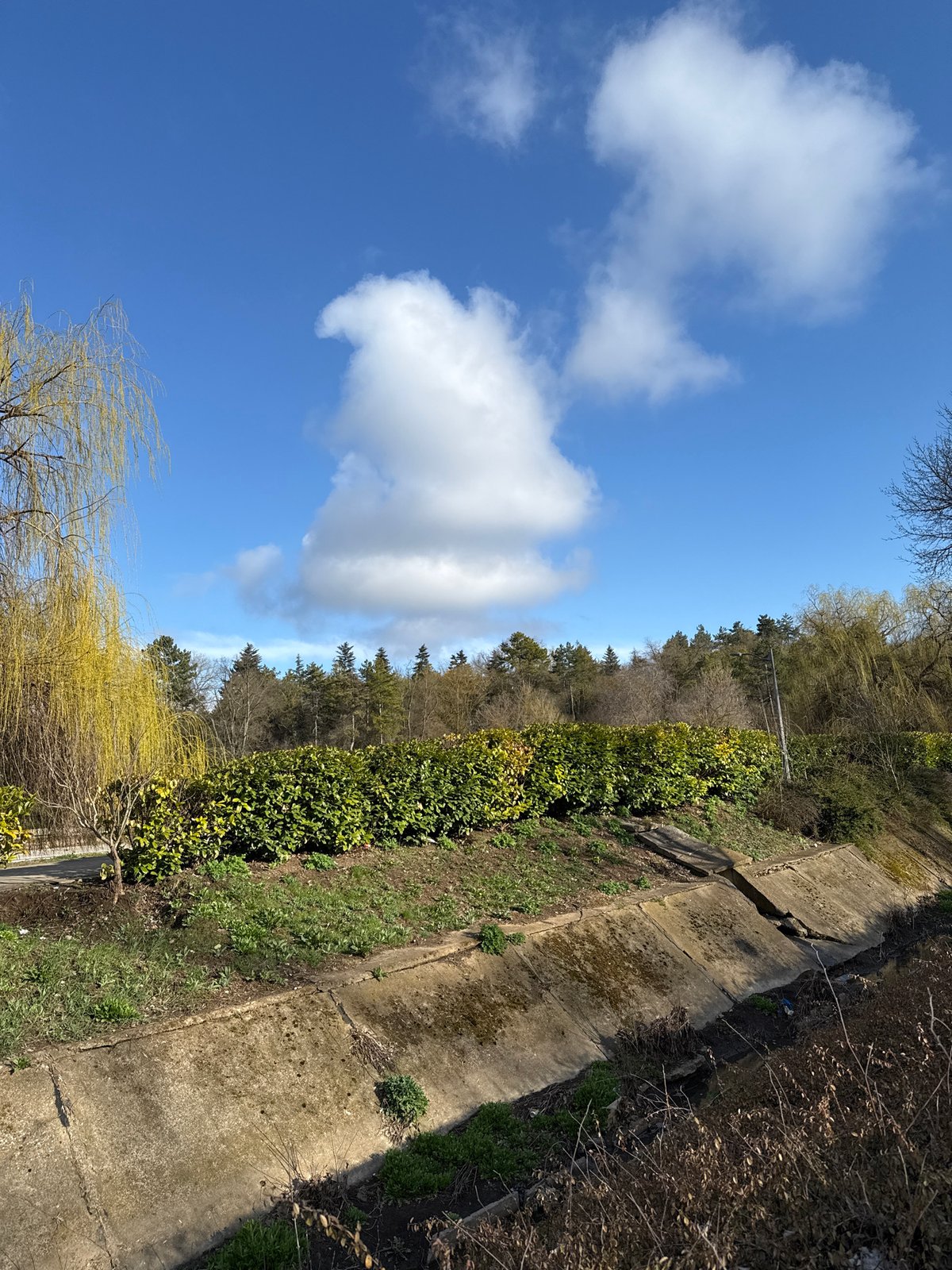 Spring afternoon stroll documented through St. George Park, Dobrich
