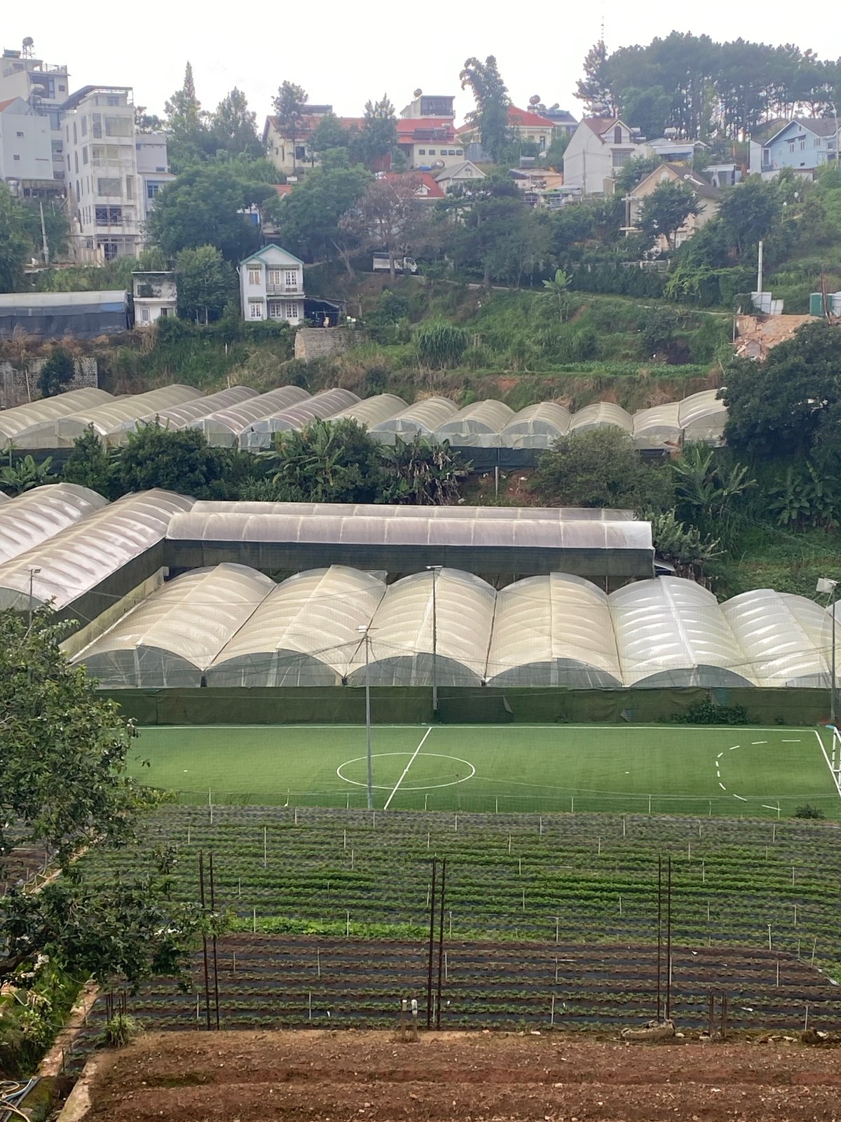Flowers and greenhouses at Lâm Viên, Đà Lạt