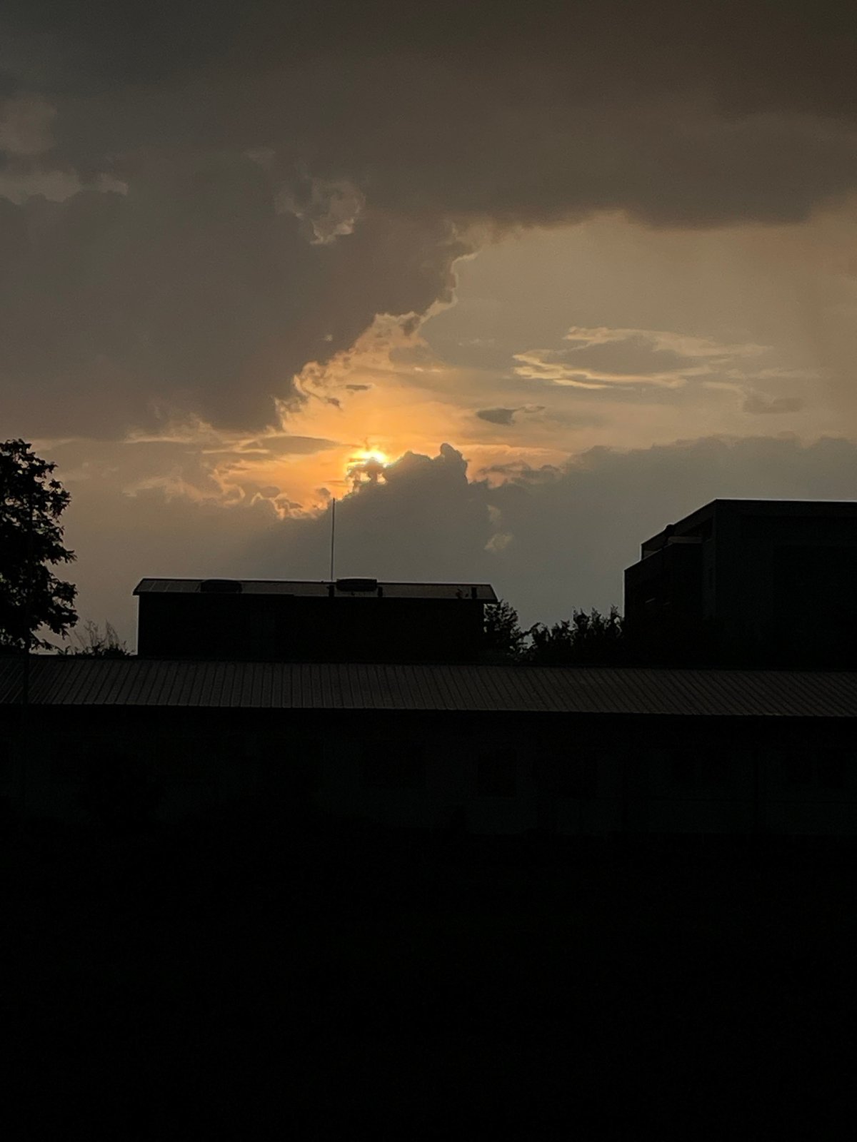 Summer solstice sunset over Timișoara, carnations in bloom