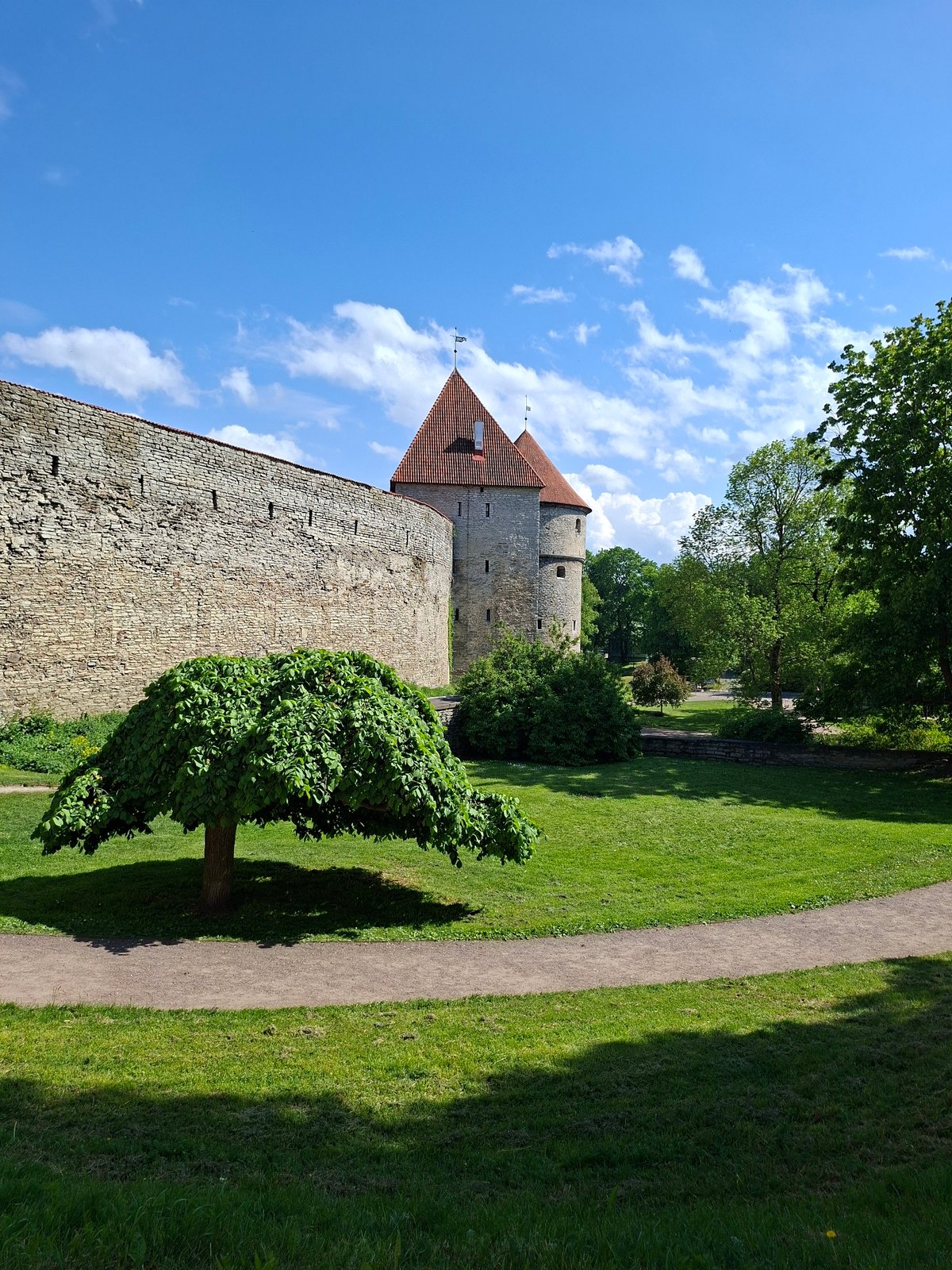 Tourist documents sunny walking tour through Tallinn's historic Old Town