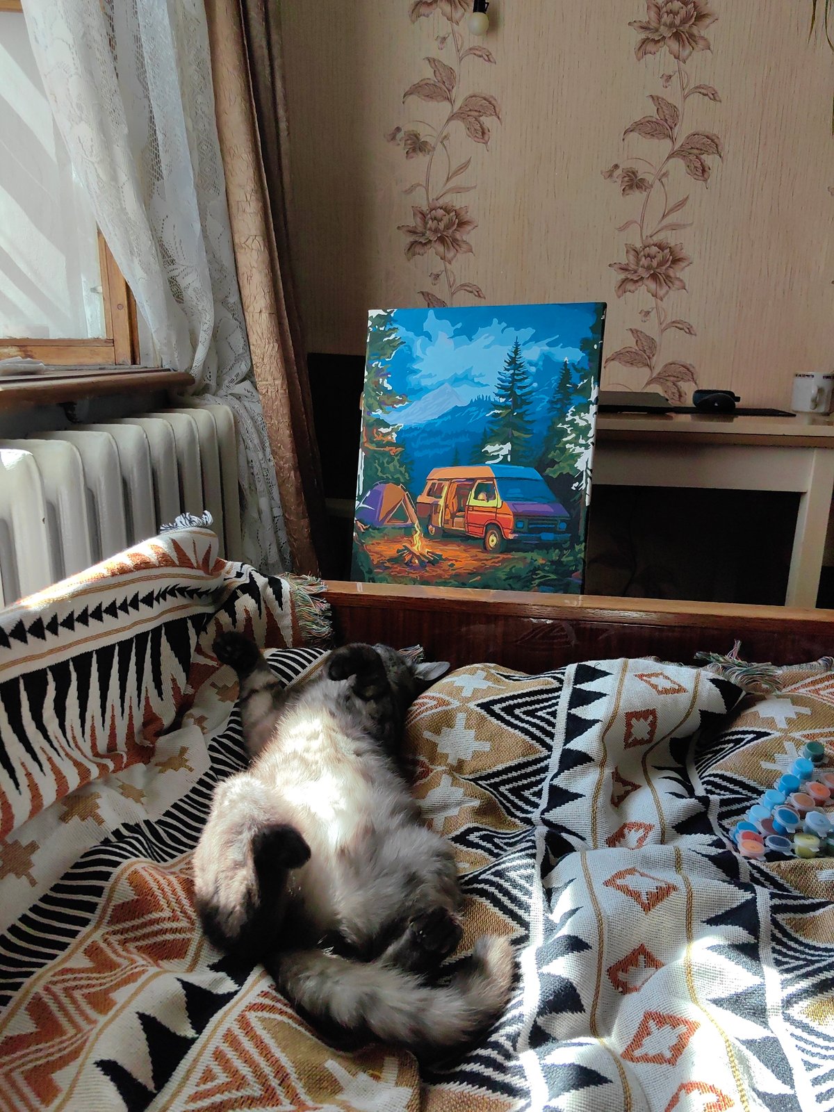 Cat naps belly-up on patterned blanket in sunlit Ukrainian room