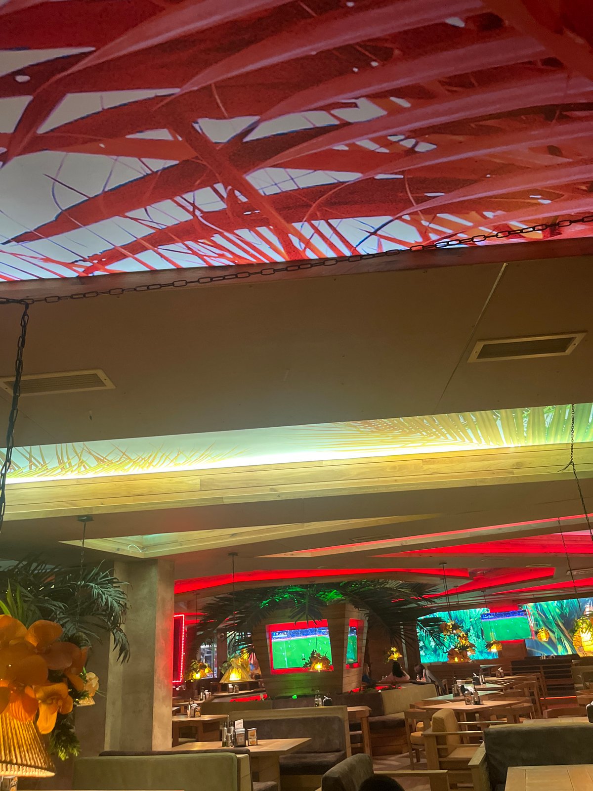 Evening dining captured at tropical-themed Sofia restaurant